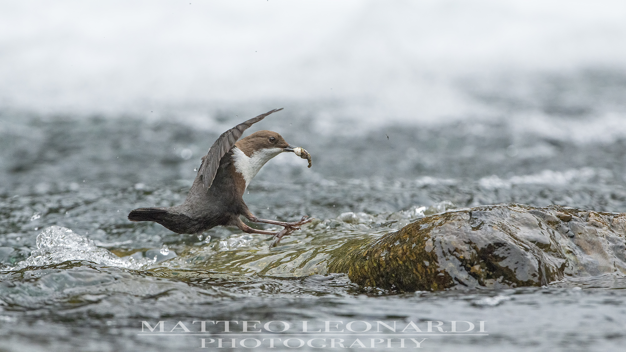 Dipper-Cleaning in progress.