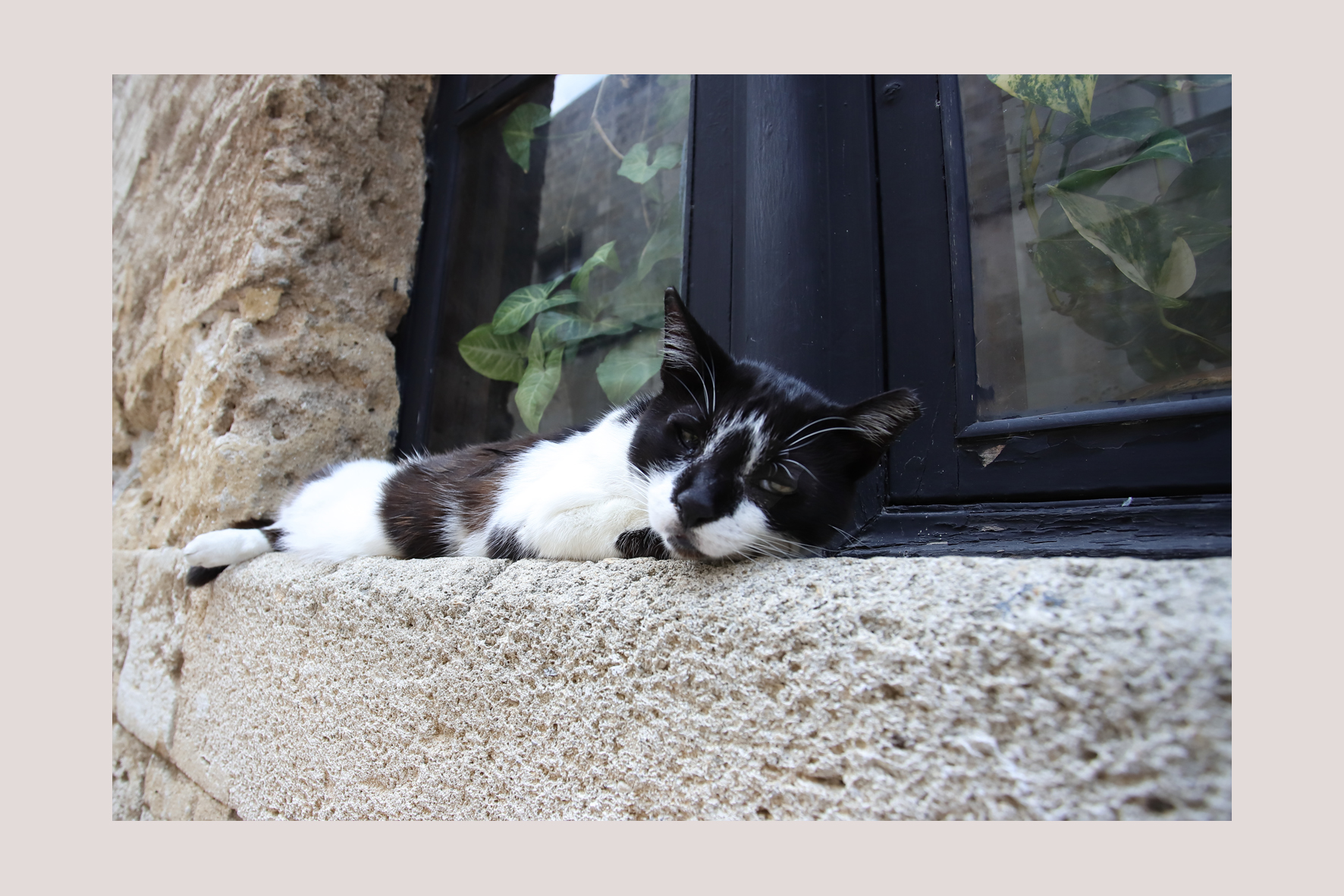 svegliatemi quando la fine del mondo è finita...