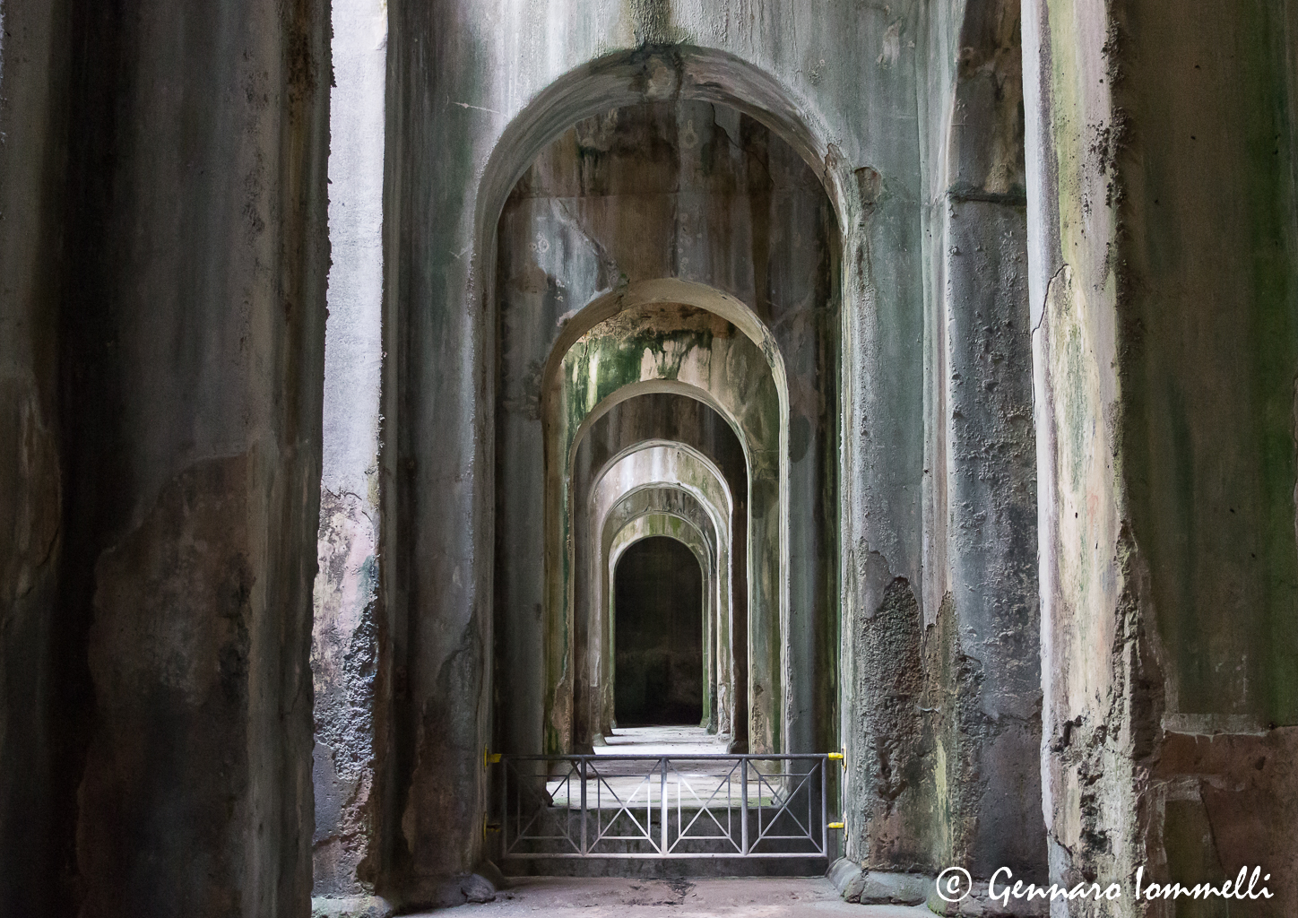 Swimming Pool mirabilis