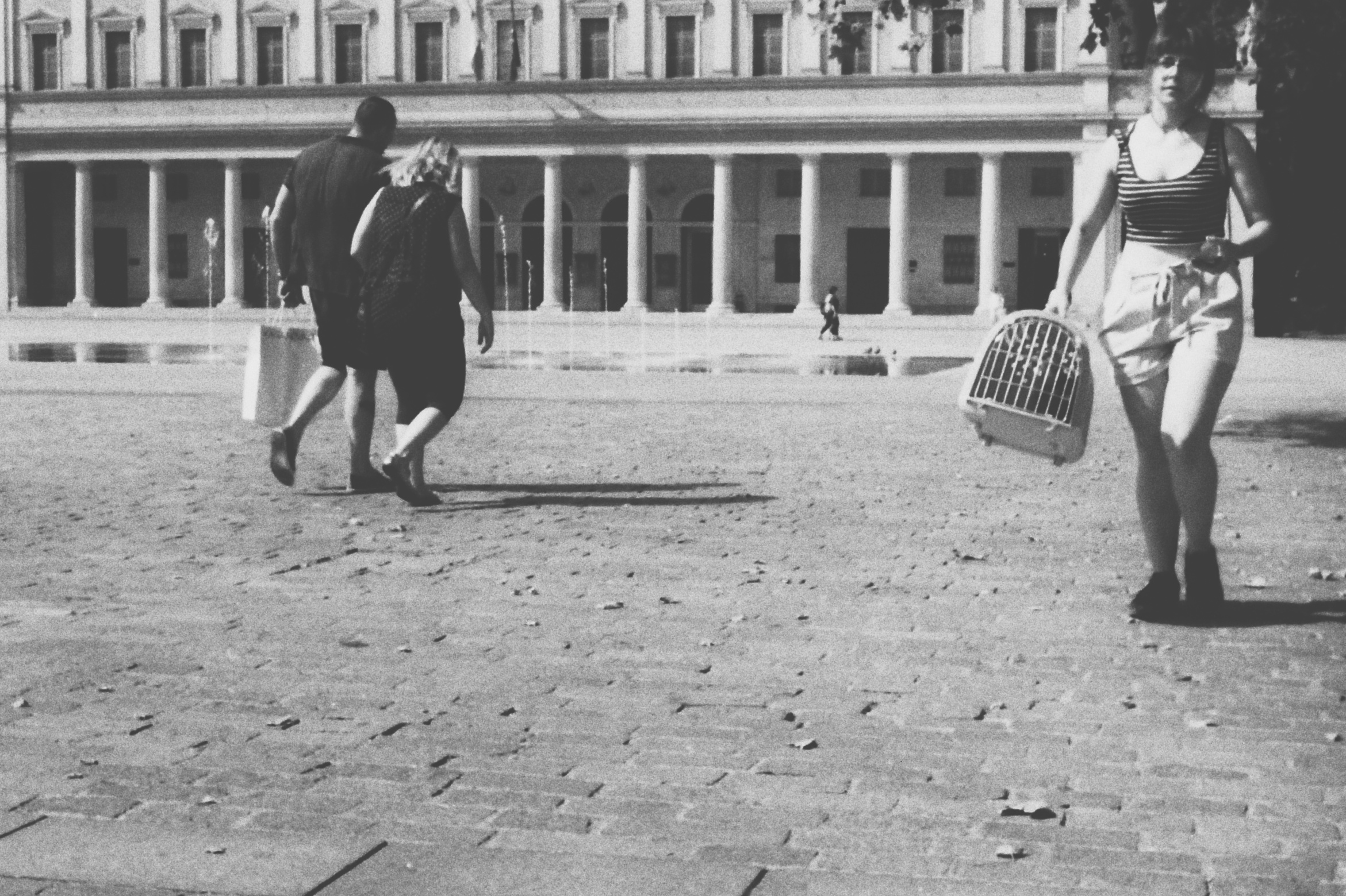 Walking With the Cat (film)