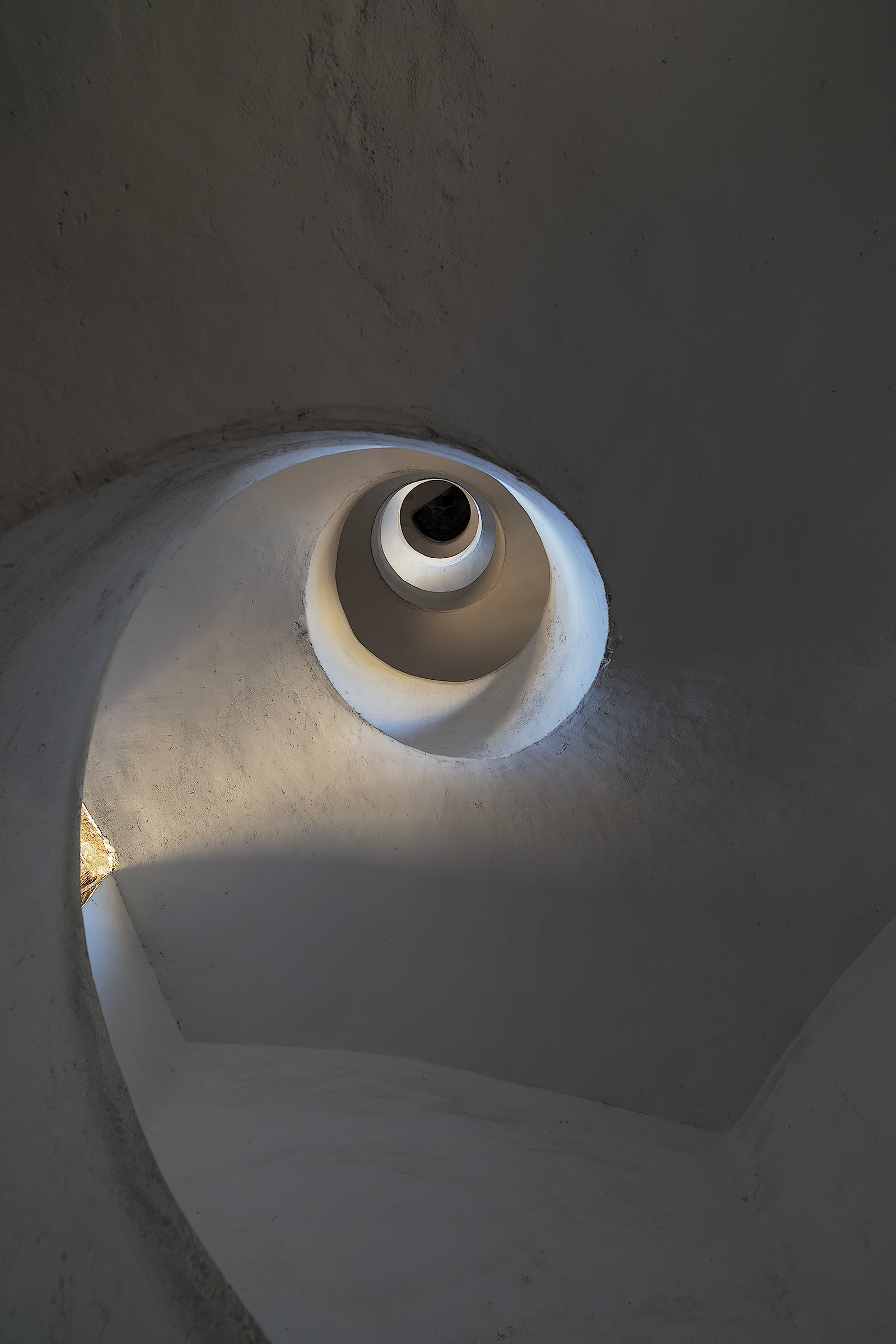 The light in the vortex