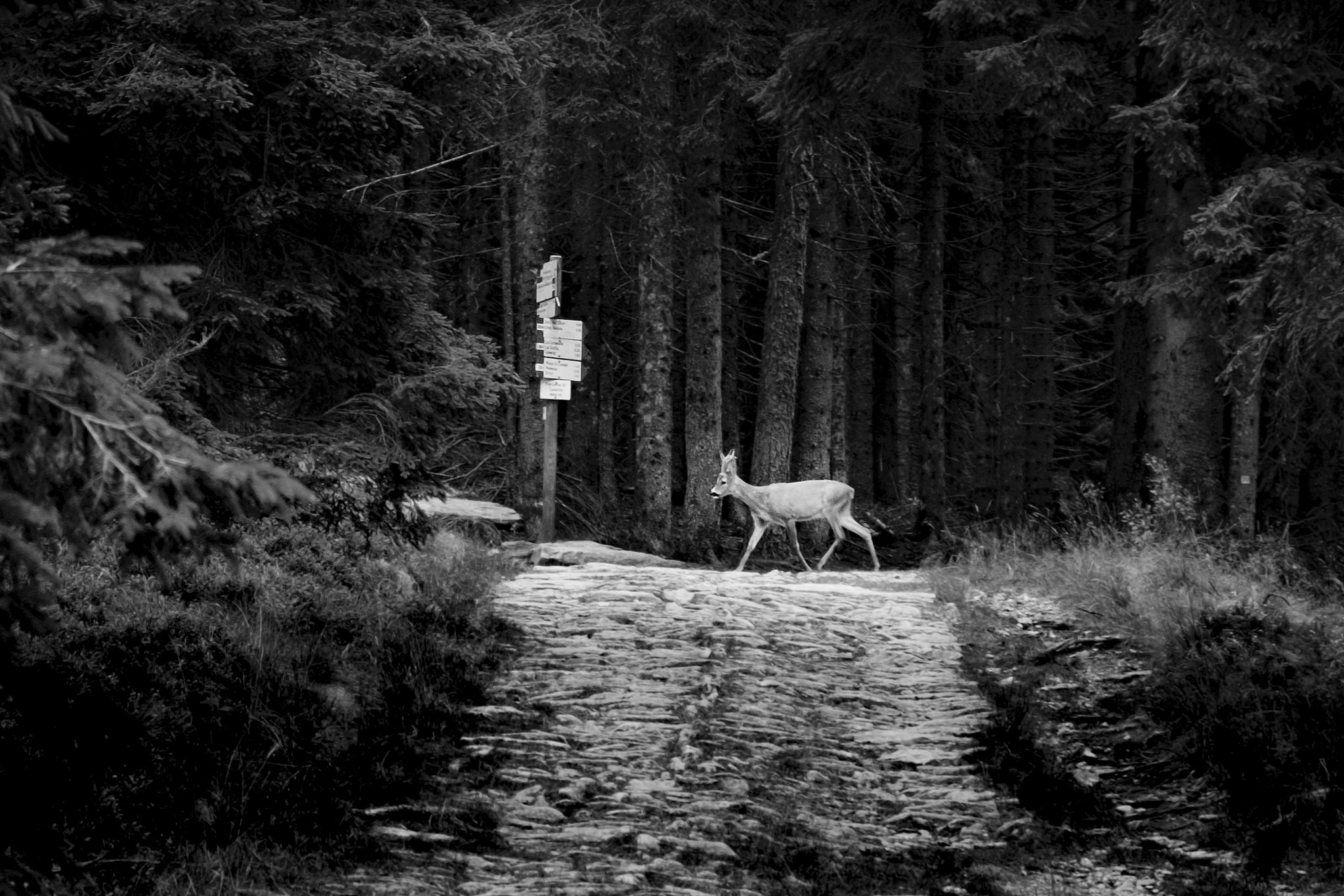 Street in the mountains