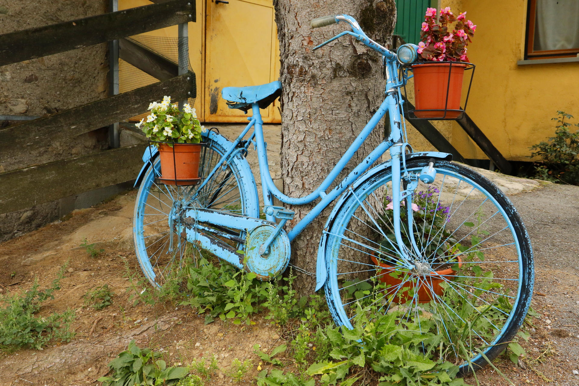 Bicicletta