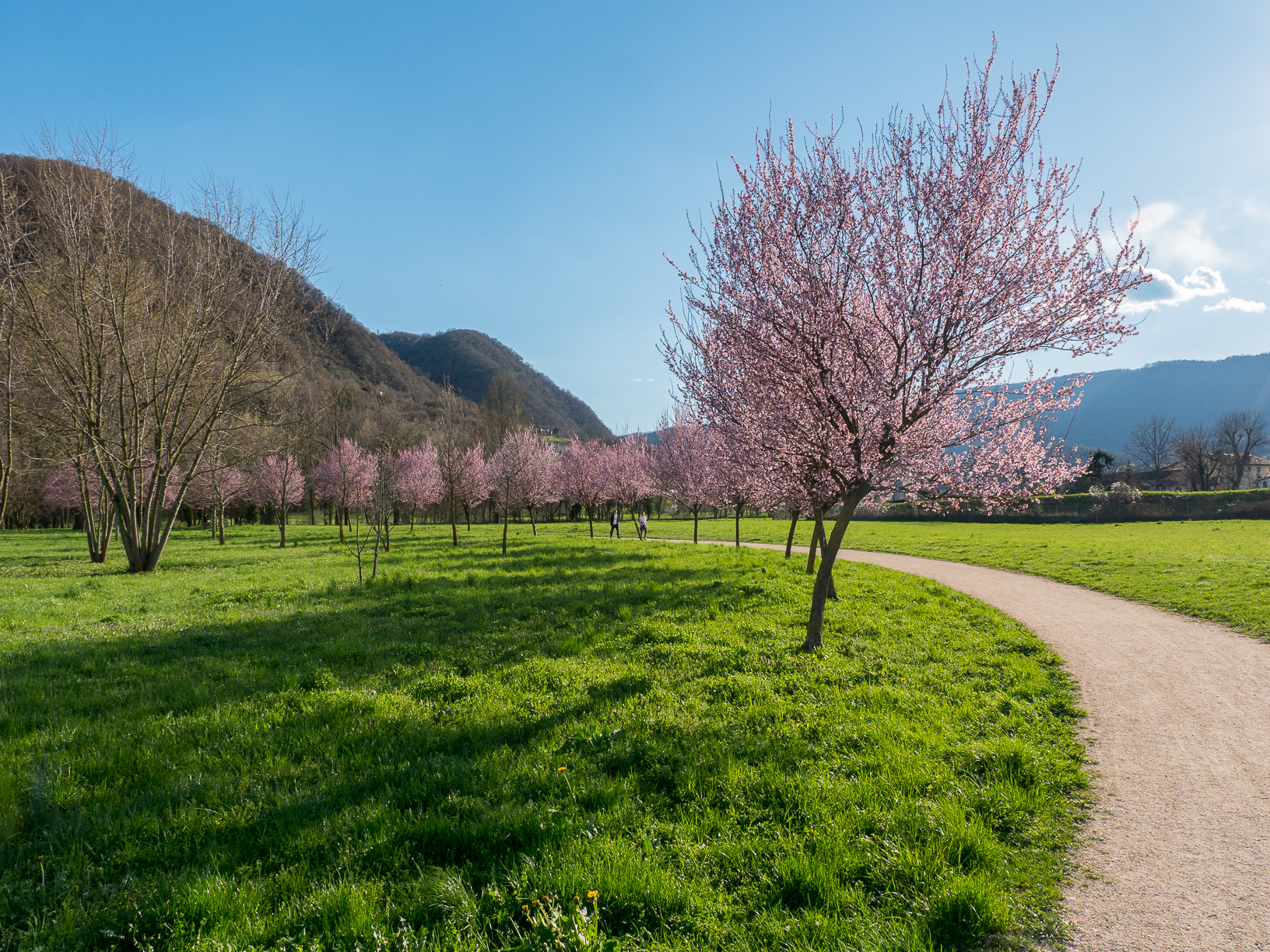 Inizio primavera in pista
