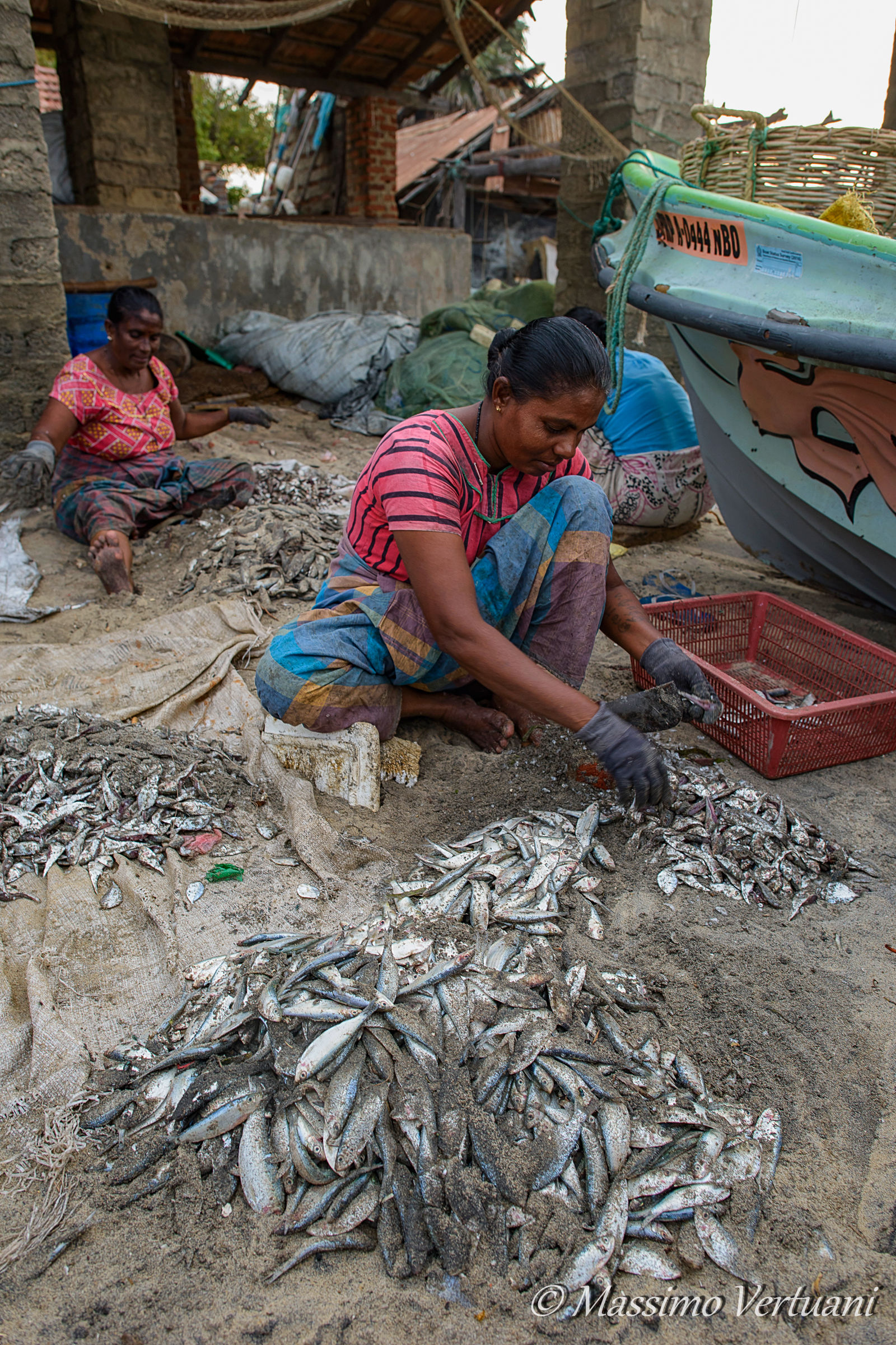 The cleanliness of the catch (Sri Lanka)