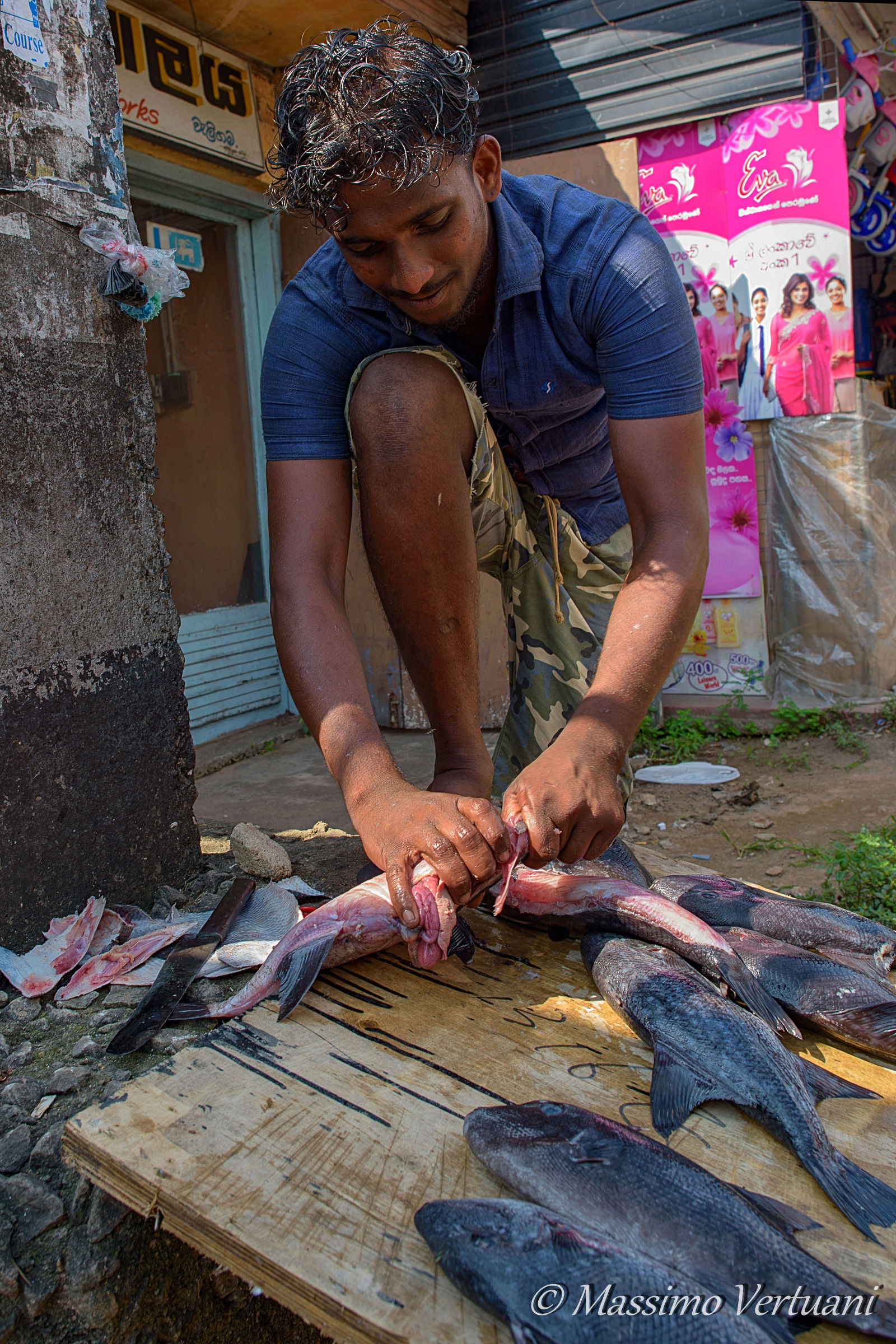 Mercato del pesce (Sri Lanka)