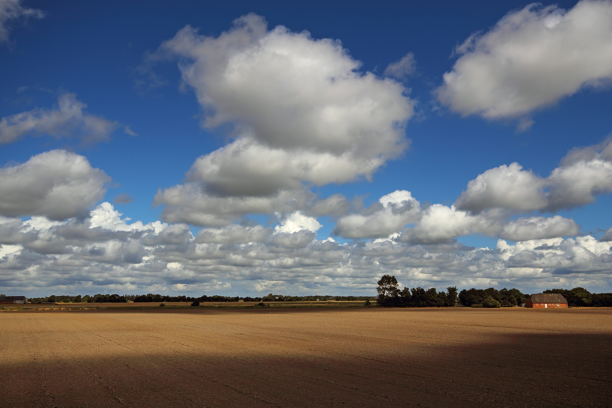 Ti sei presentata così...