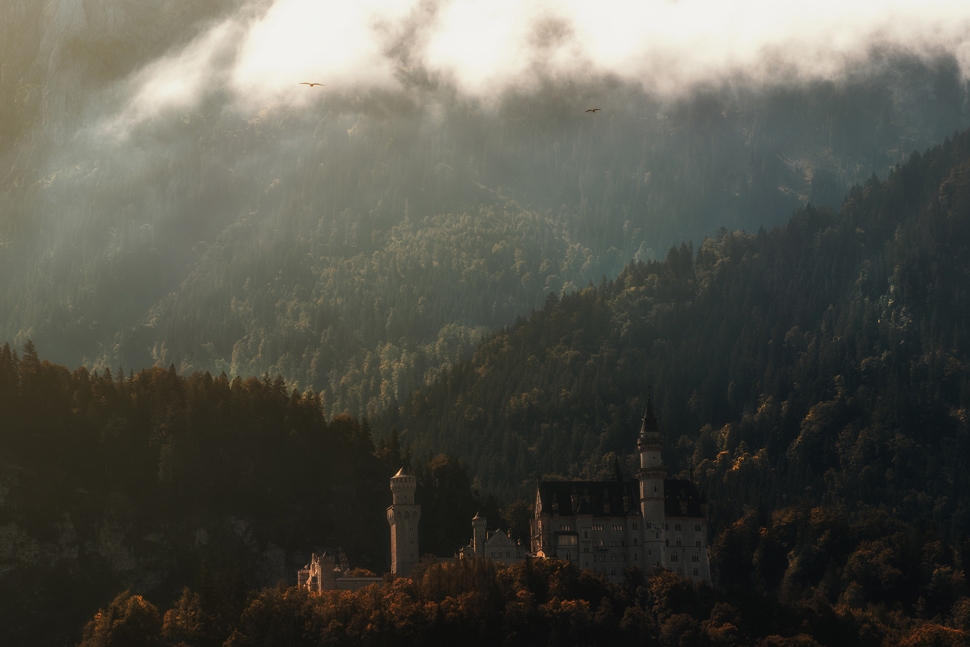 The Lords of the Castle