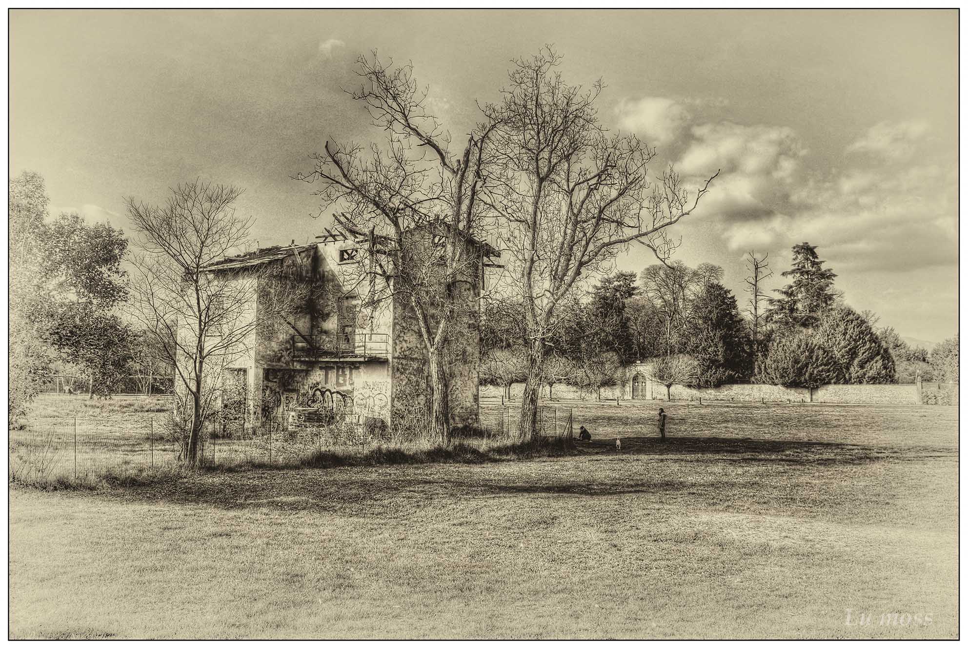 Abandonment, like an ancient print.