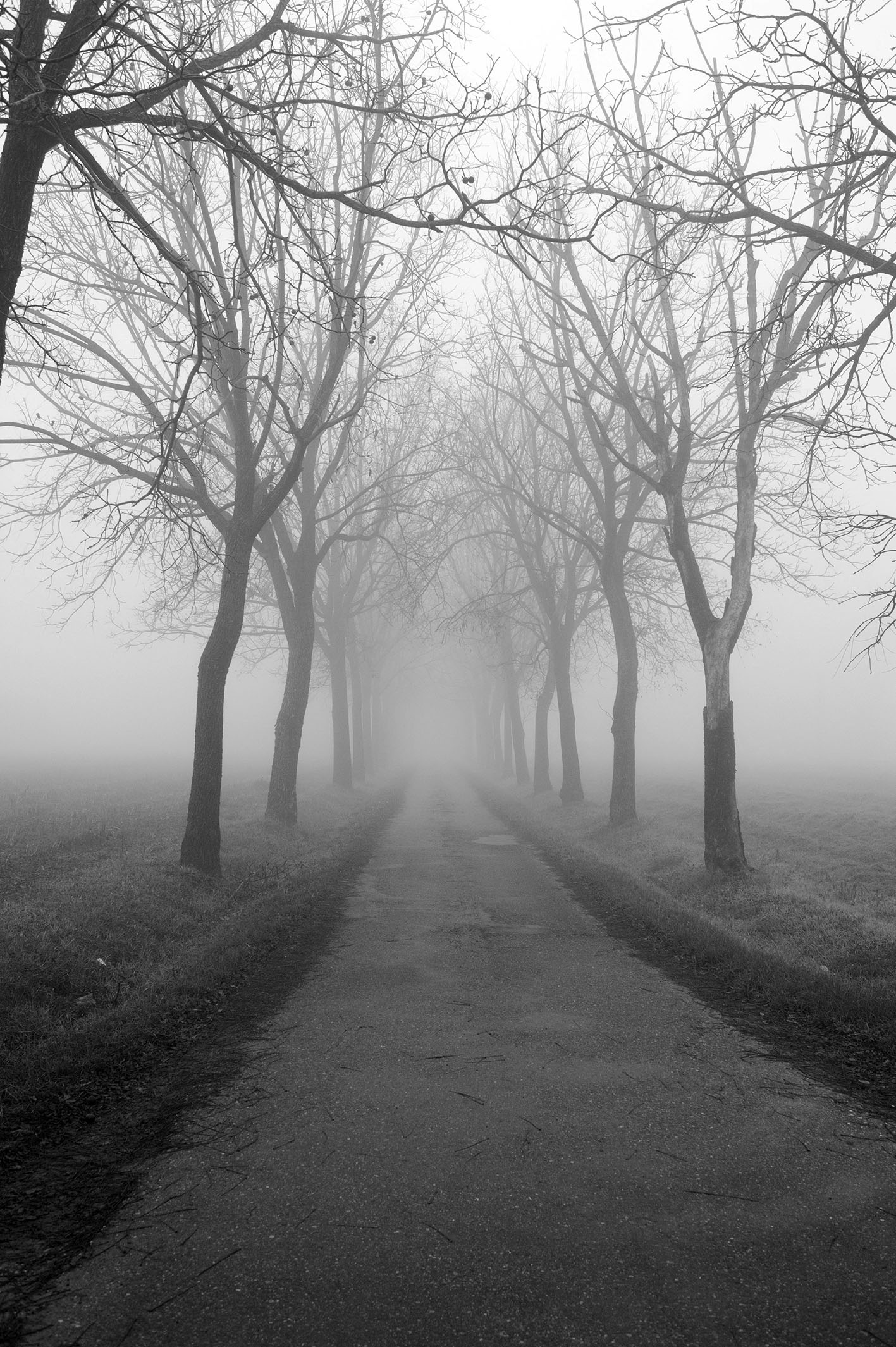 Where will be the end