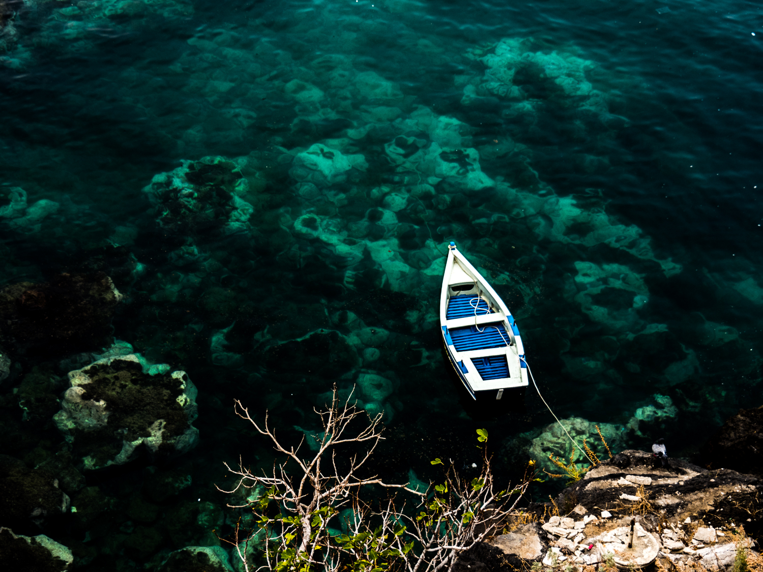 Barca sotto il castello