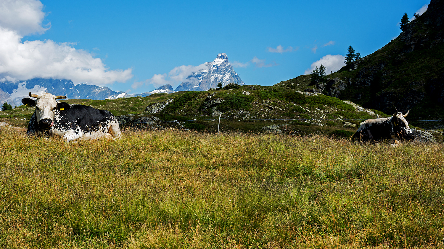Le guardiane del Cervino
