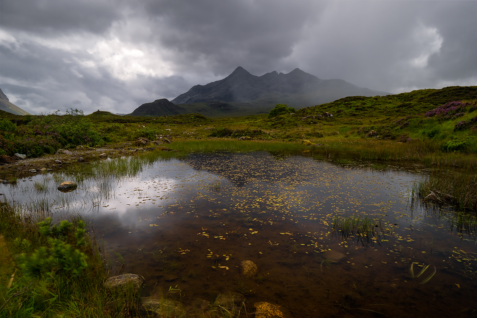 Cuillin