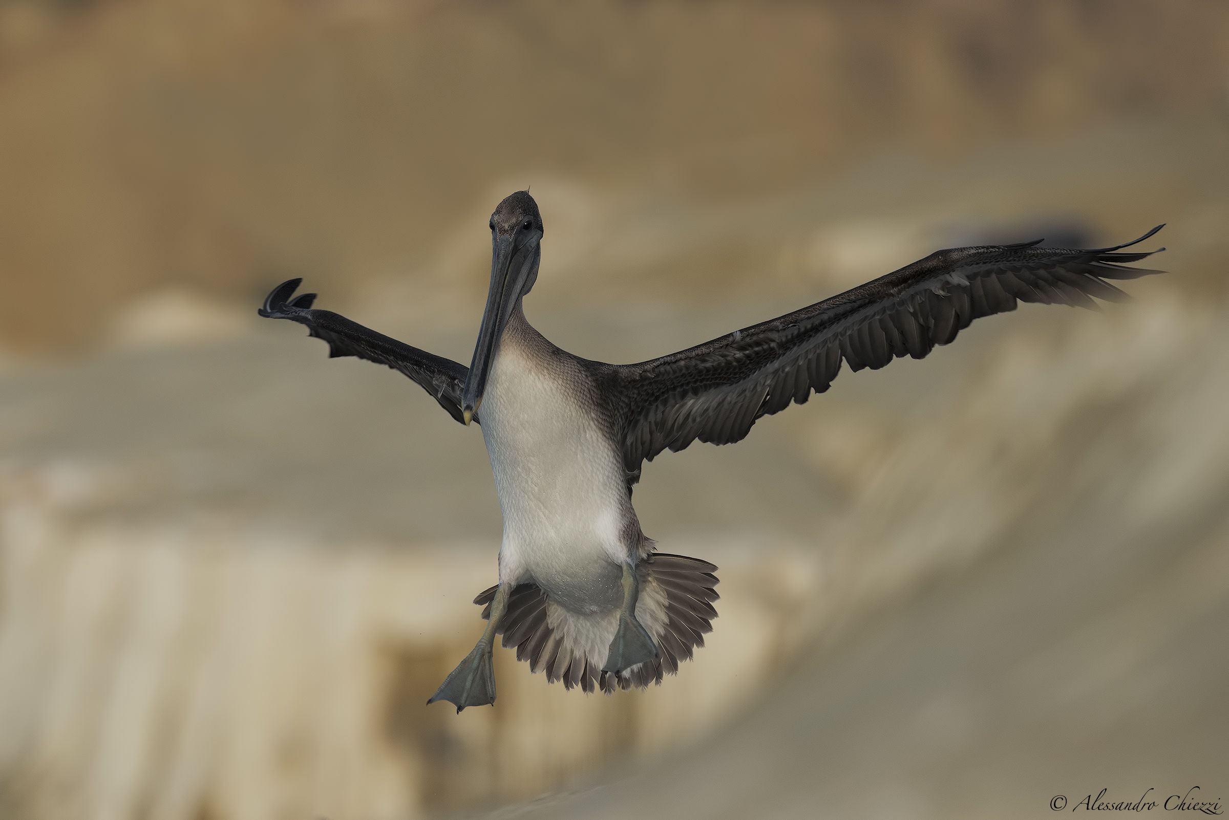 Atterraggio sulle arenarie