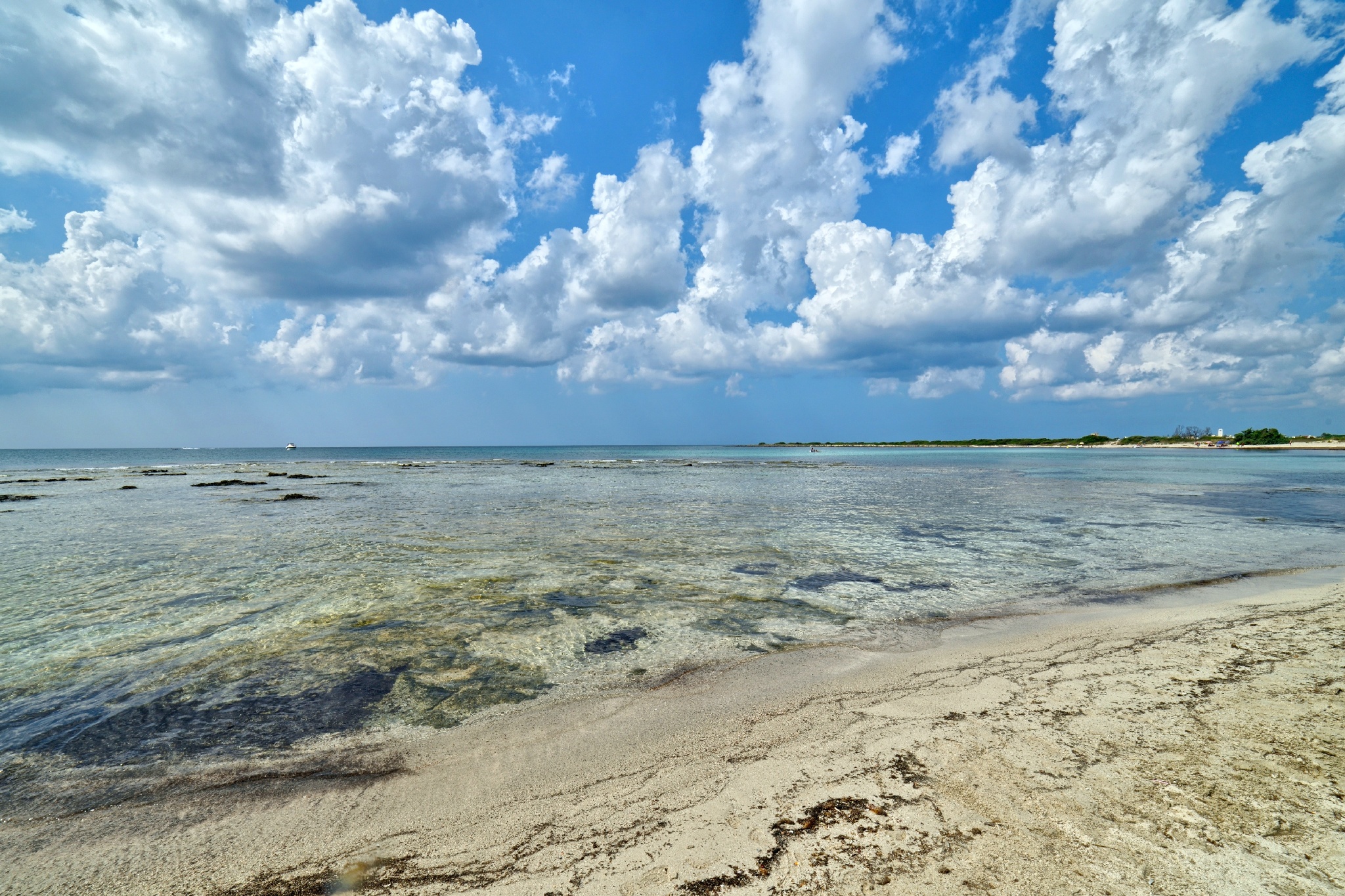 riserva naturale palude del conte e duna costiera