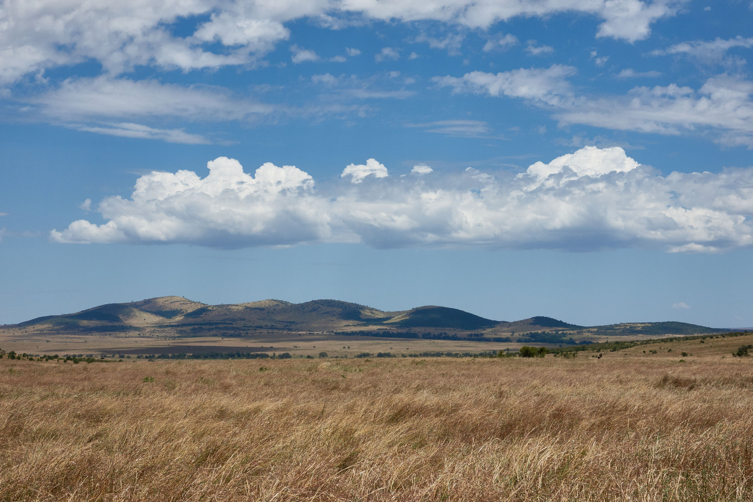 Masai Mara National Reserve