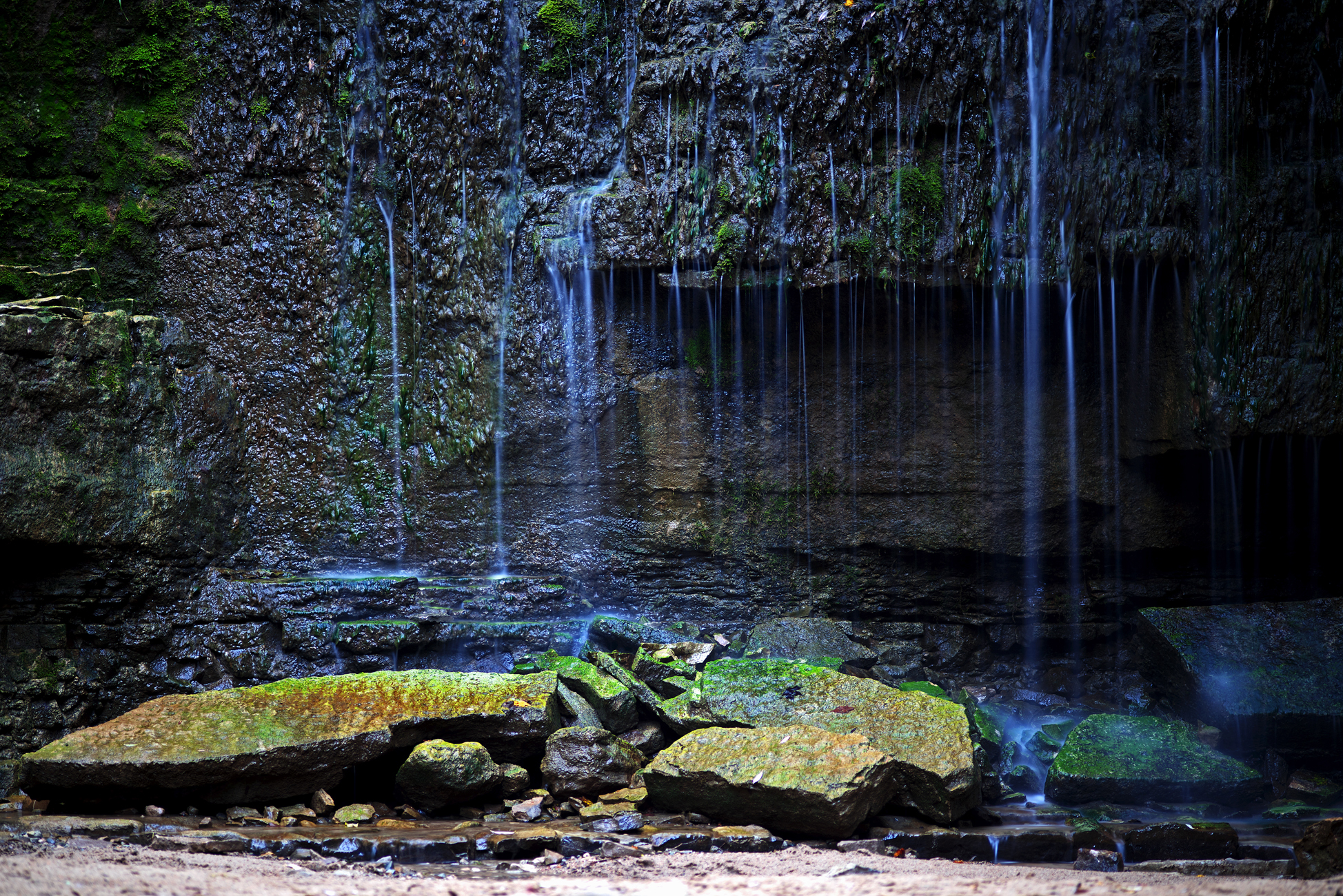 Water Hanging on Moss