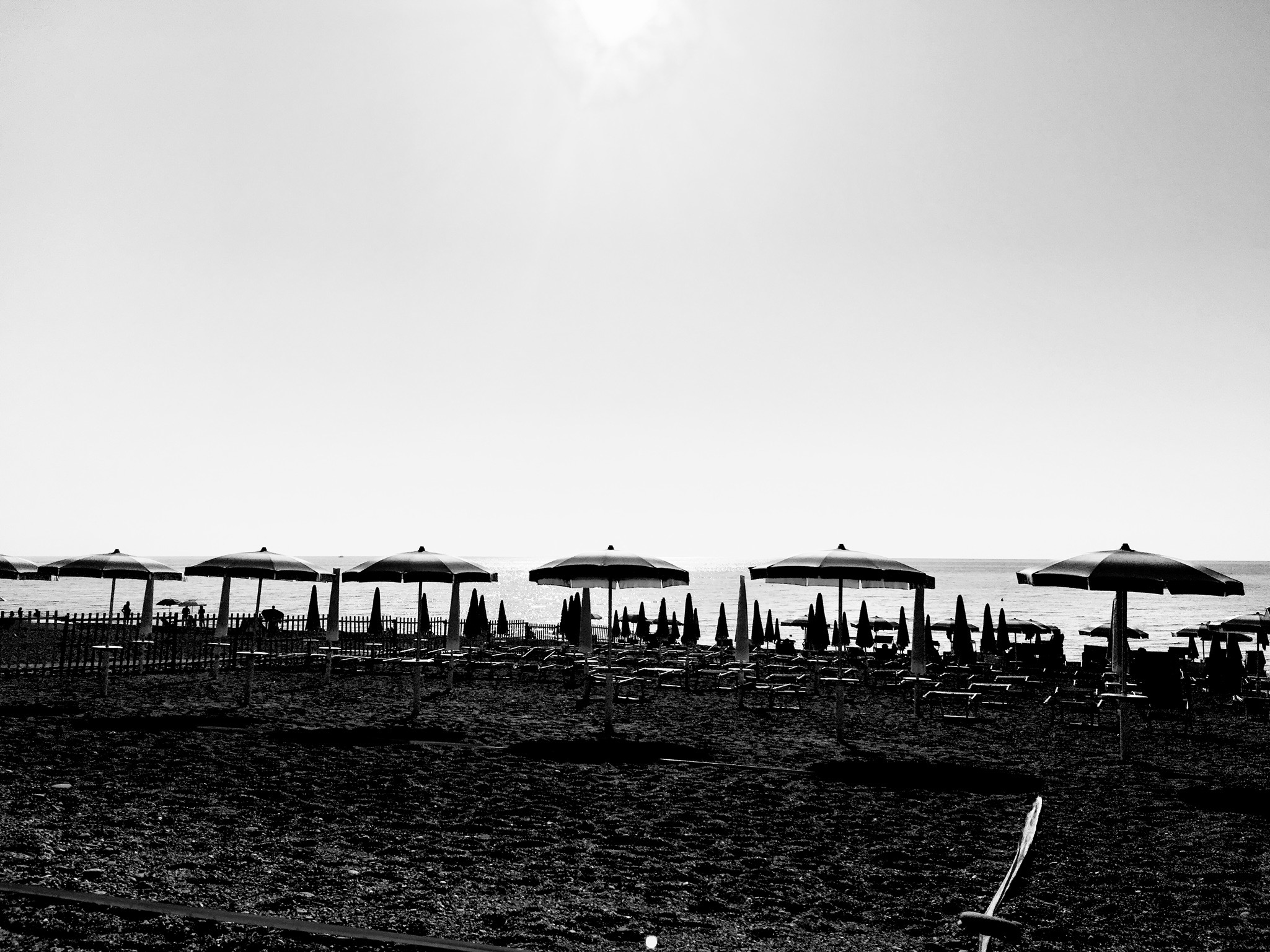 Mare BW
