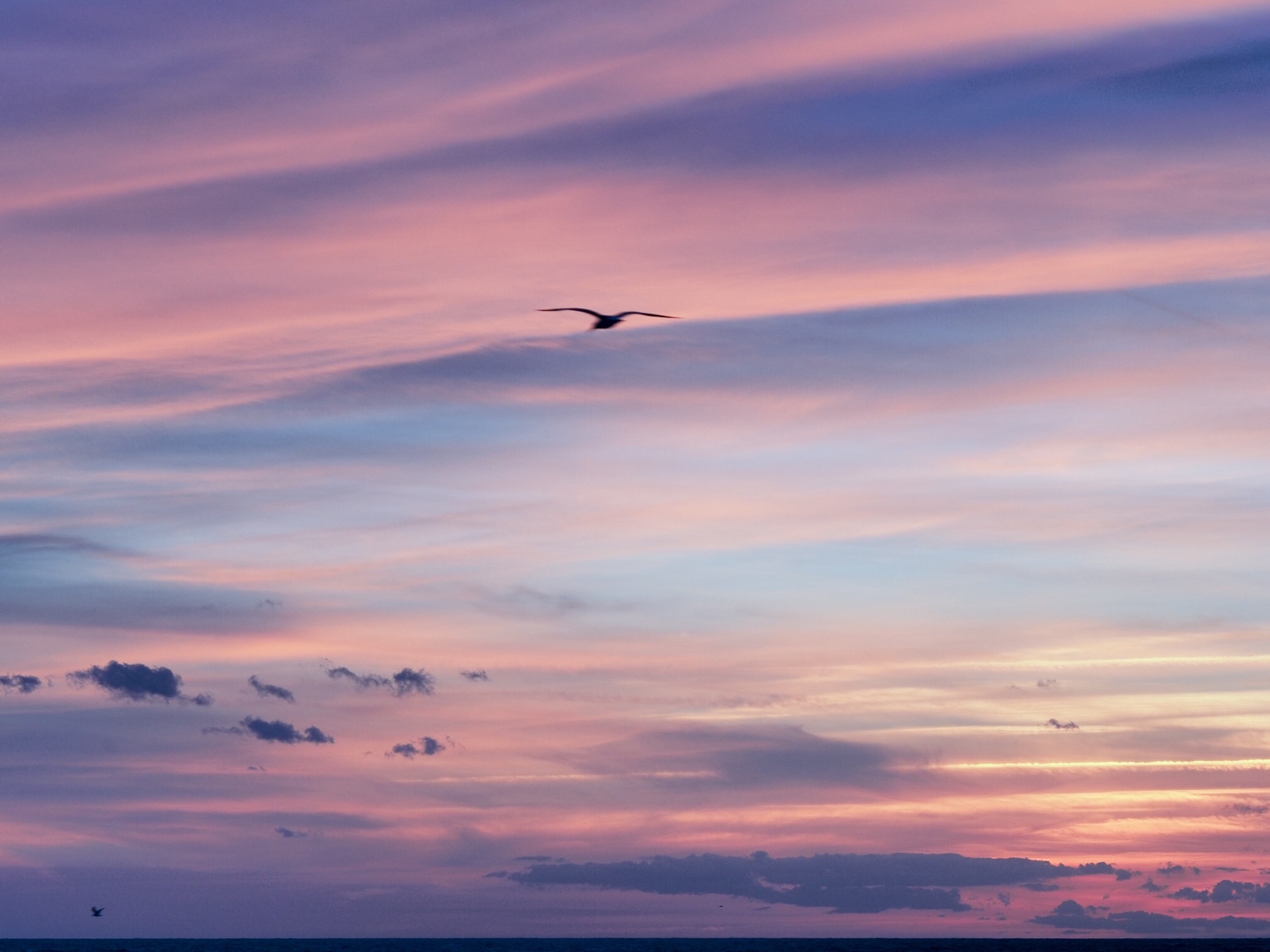 I want to know where the sun goes...