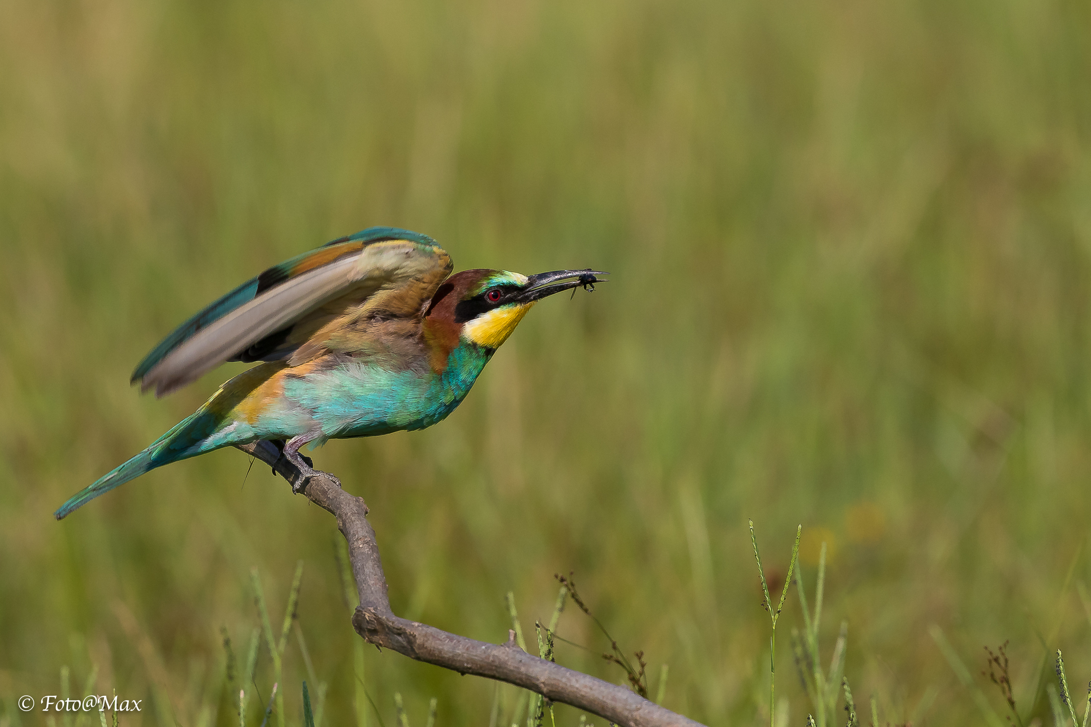 pronti partenza... e il via alla prox foto