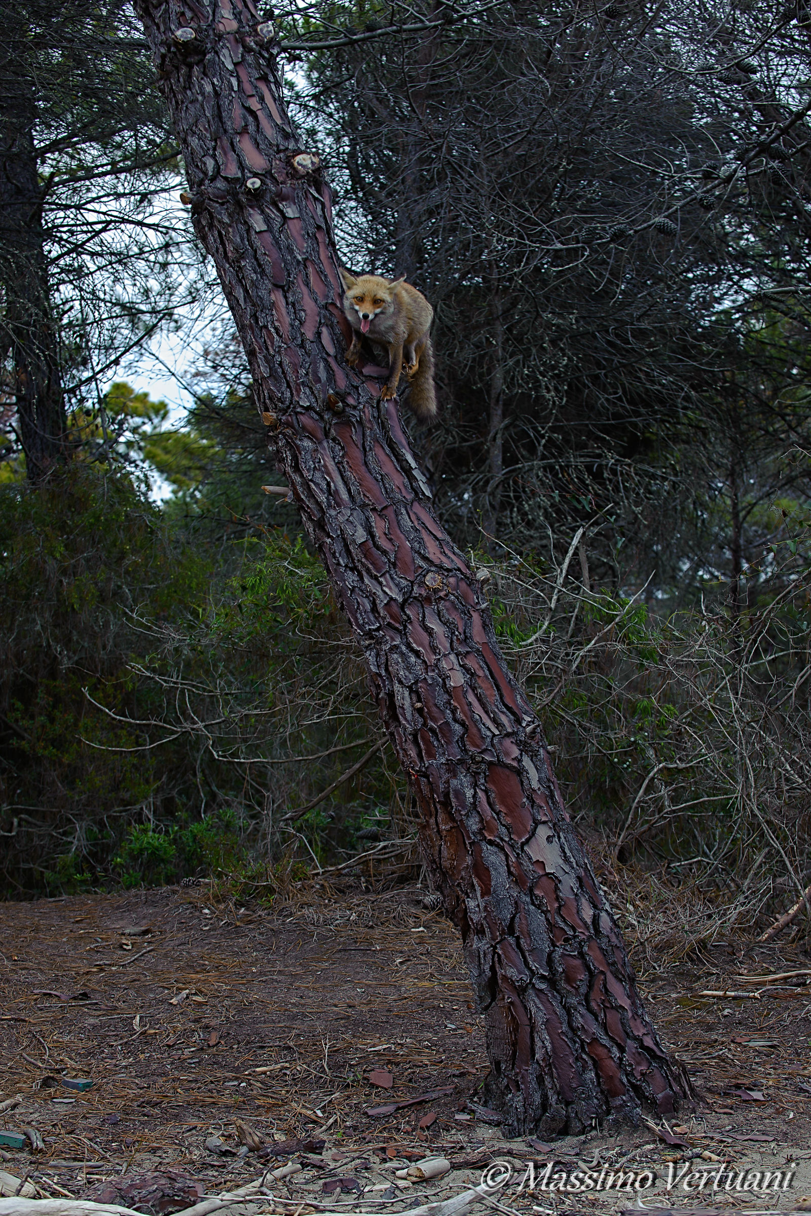 Il territorio visto dall'alto