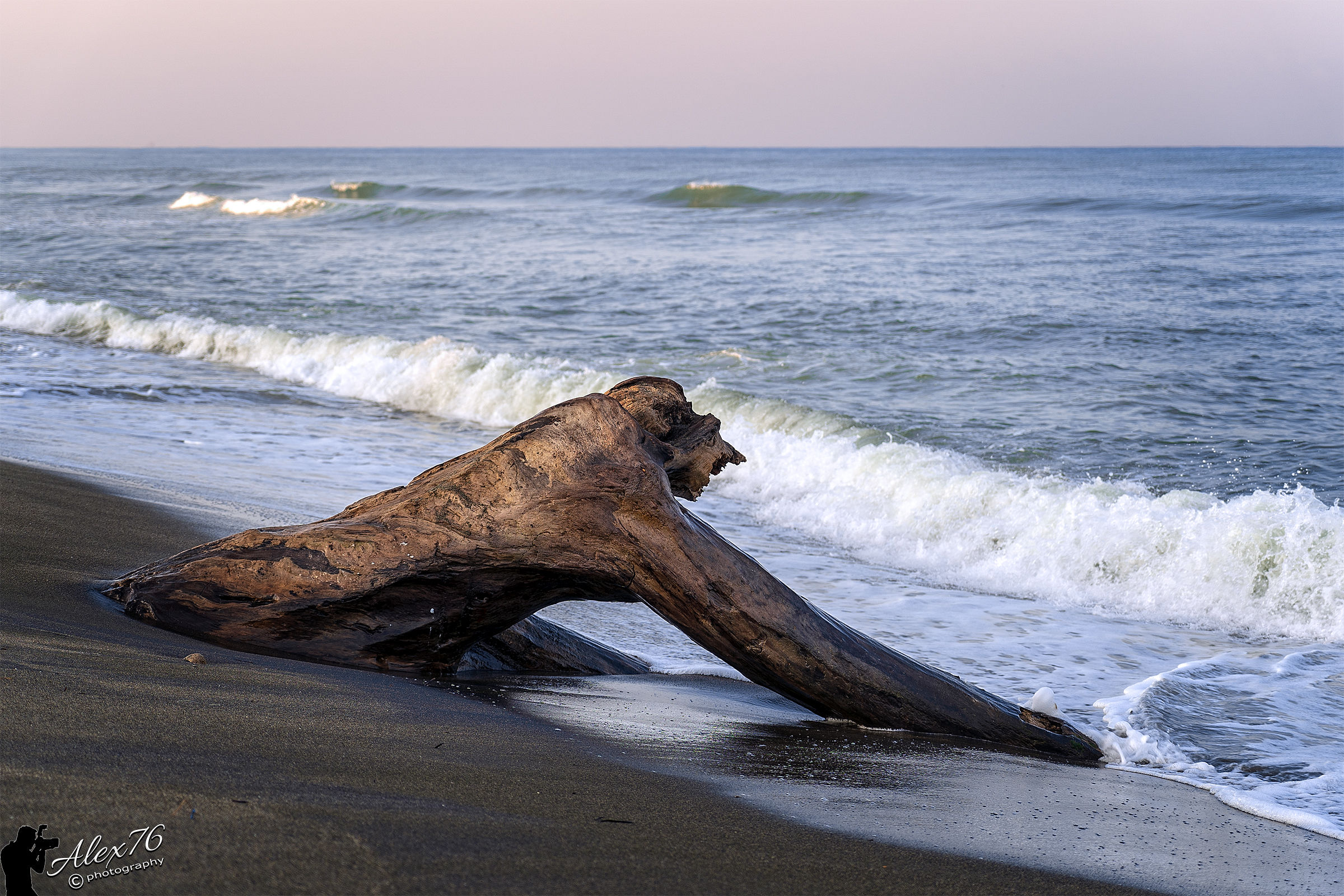 Voglio tornare a casa...