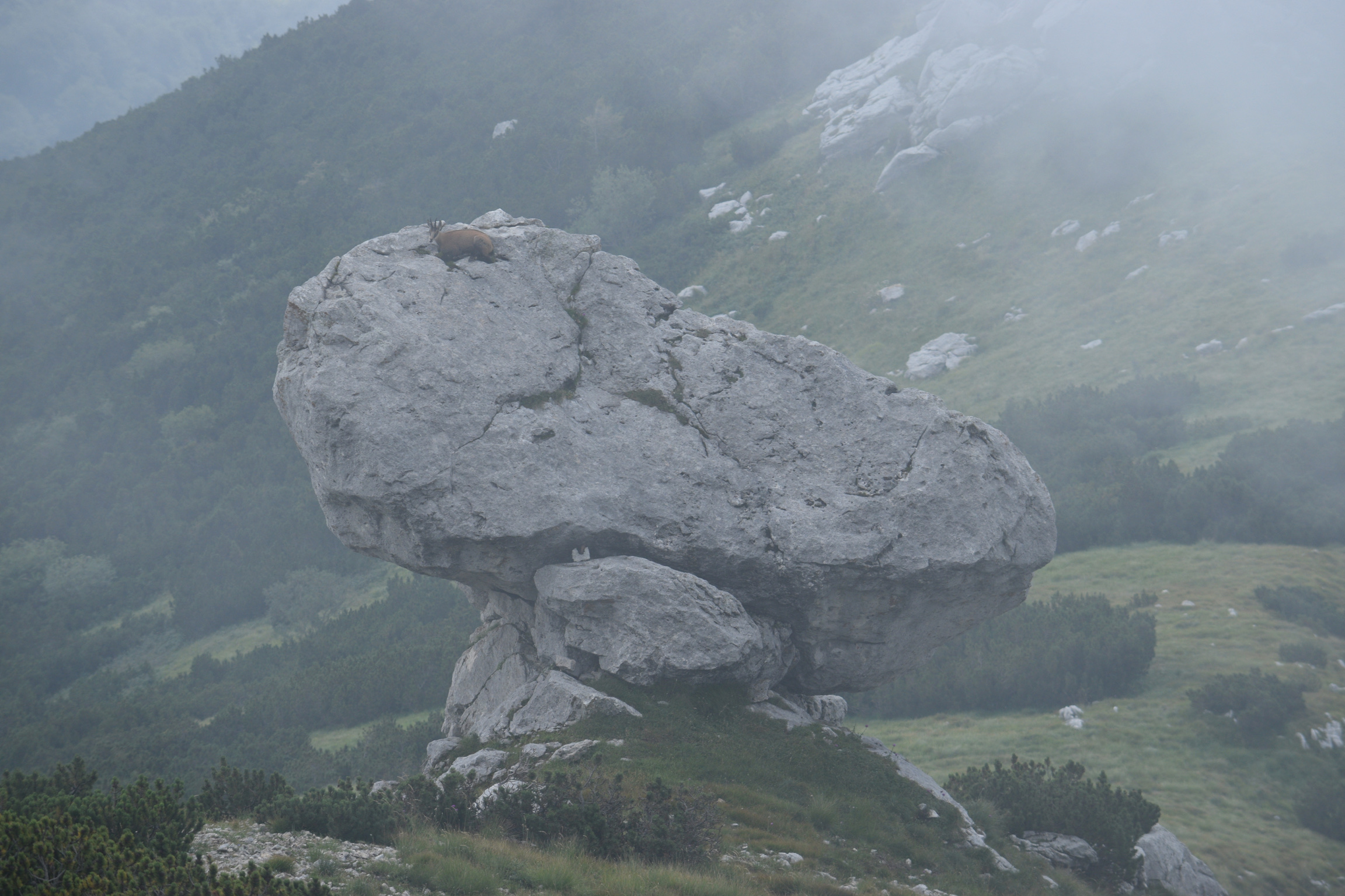 Comodamente sul suo trono!