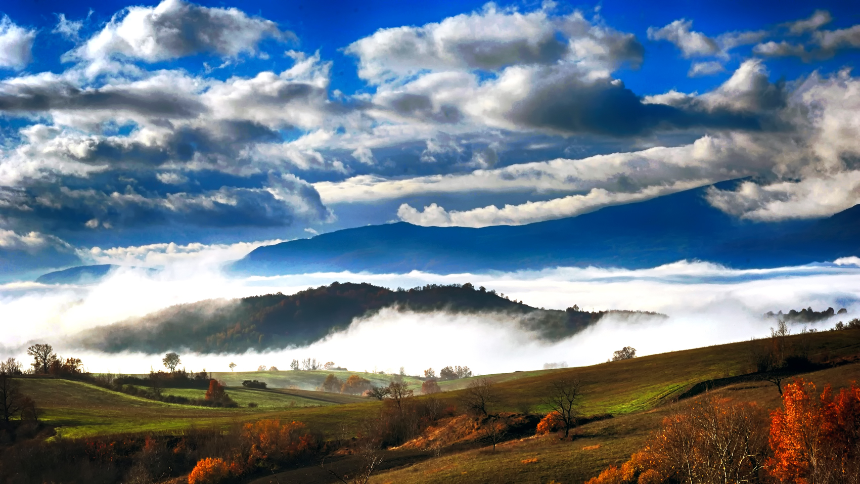 The fog to the bristling hills