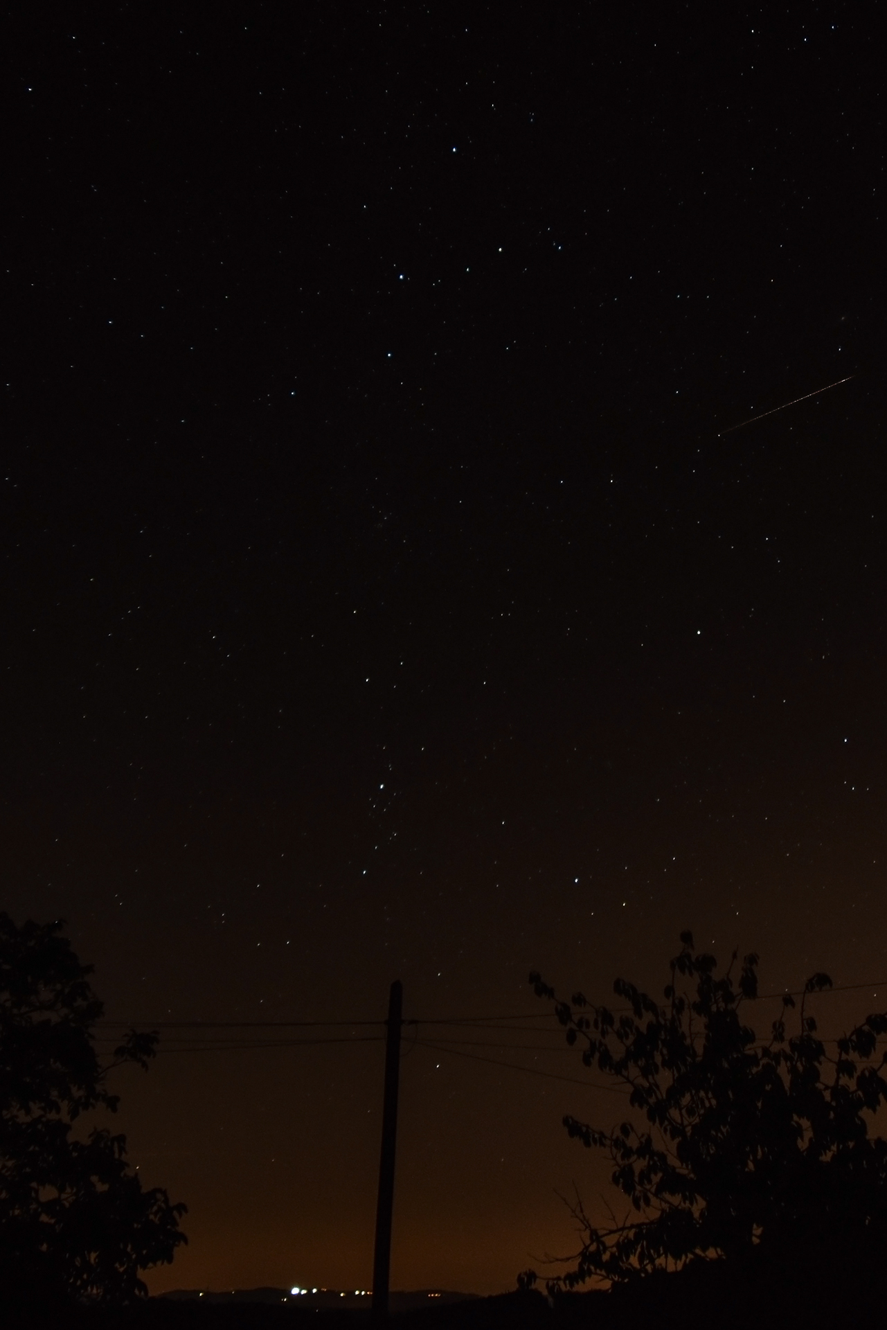 Perseids