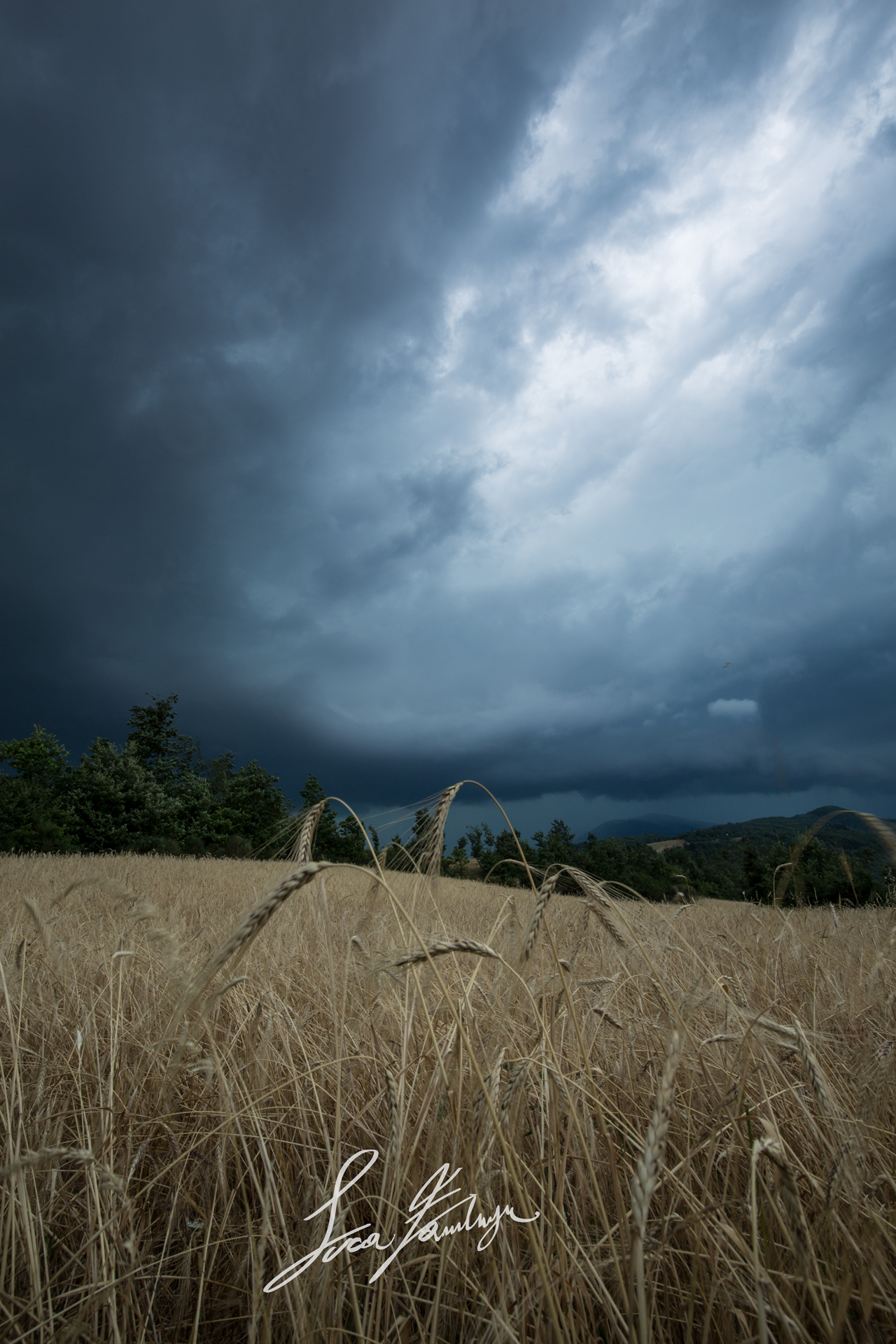 Storm over the Spelt !