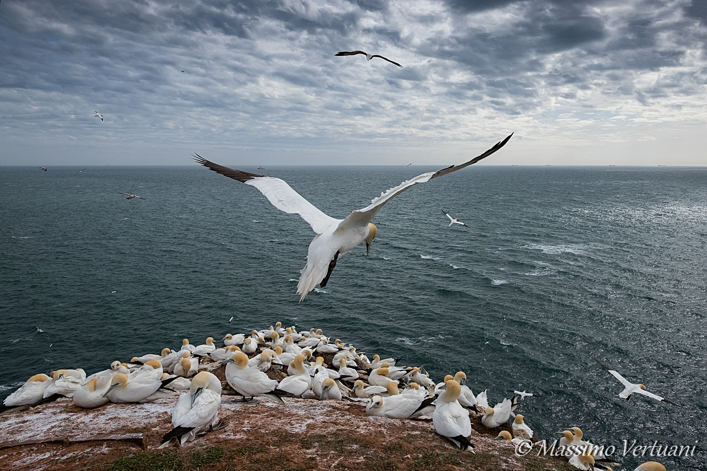 Quasi le pui toccare!!!