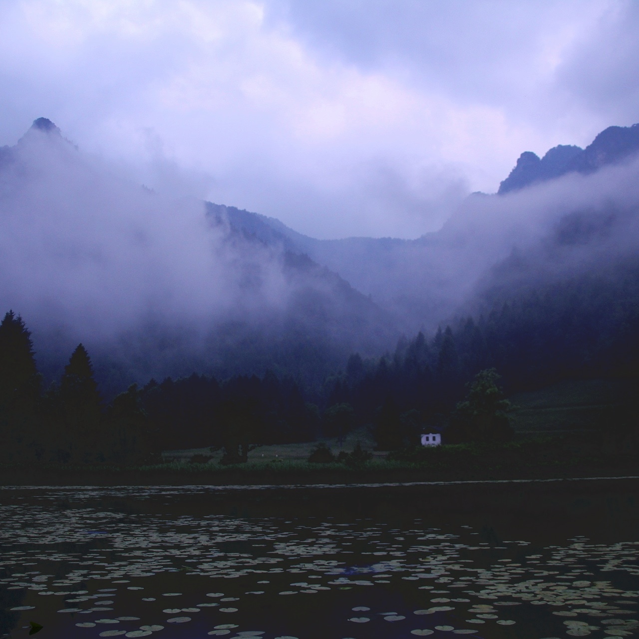 In The company of Fog