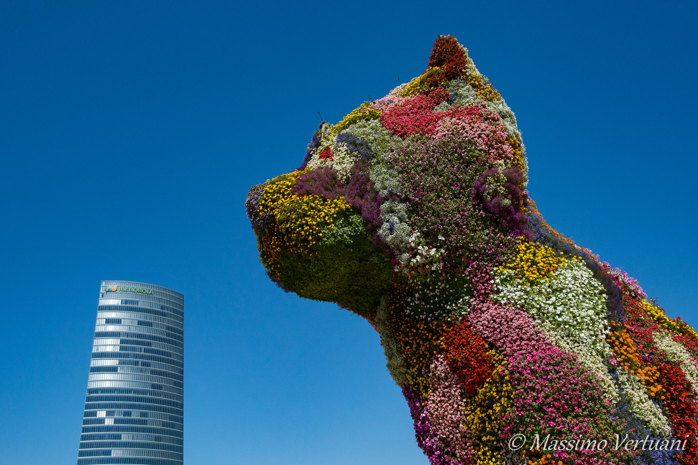 Il Cane di Fiori ( Bilbao )