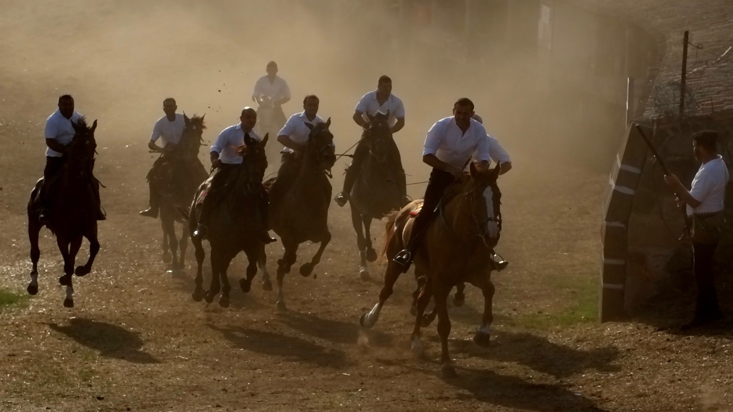 Ardia di S.Costantino