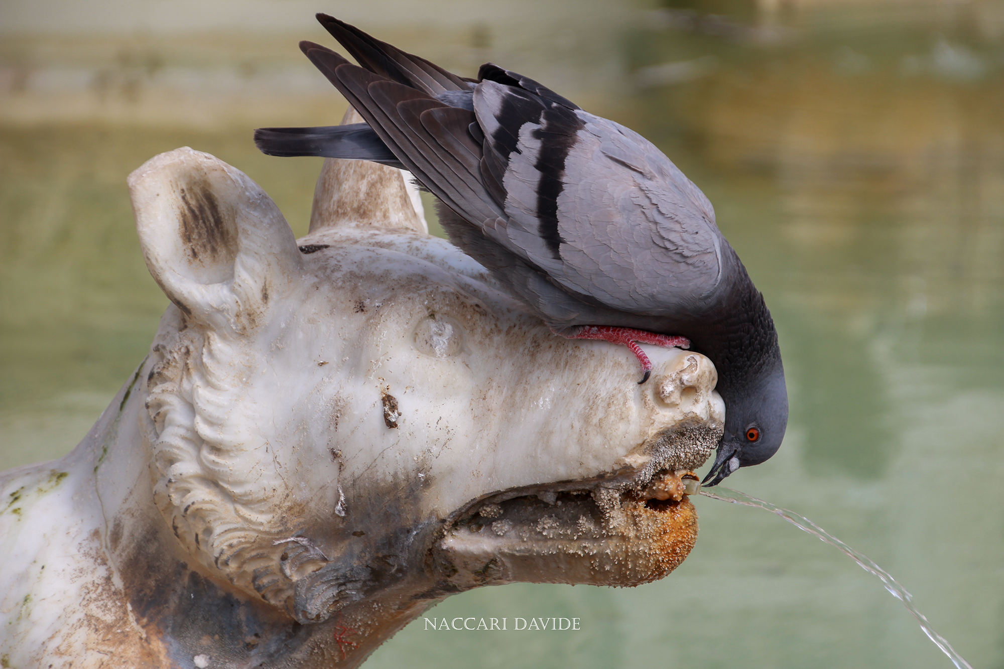Quando ti prende la sete...