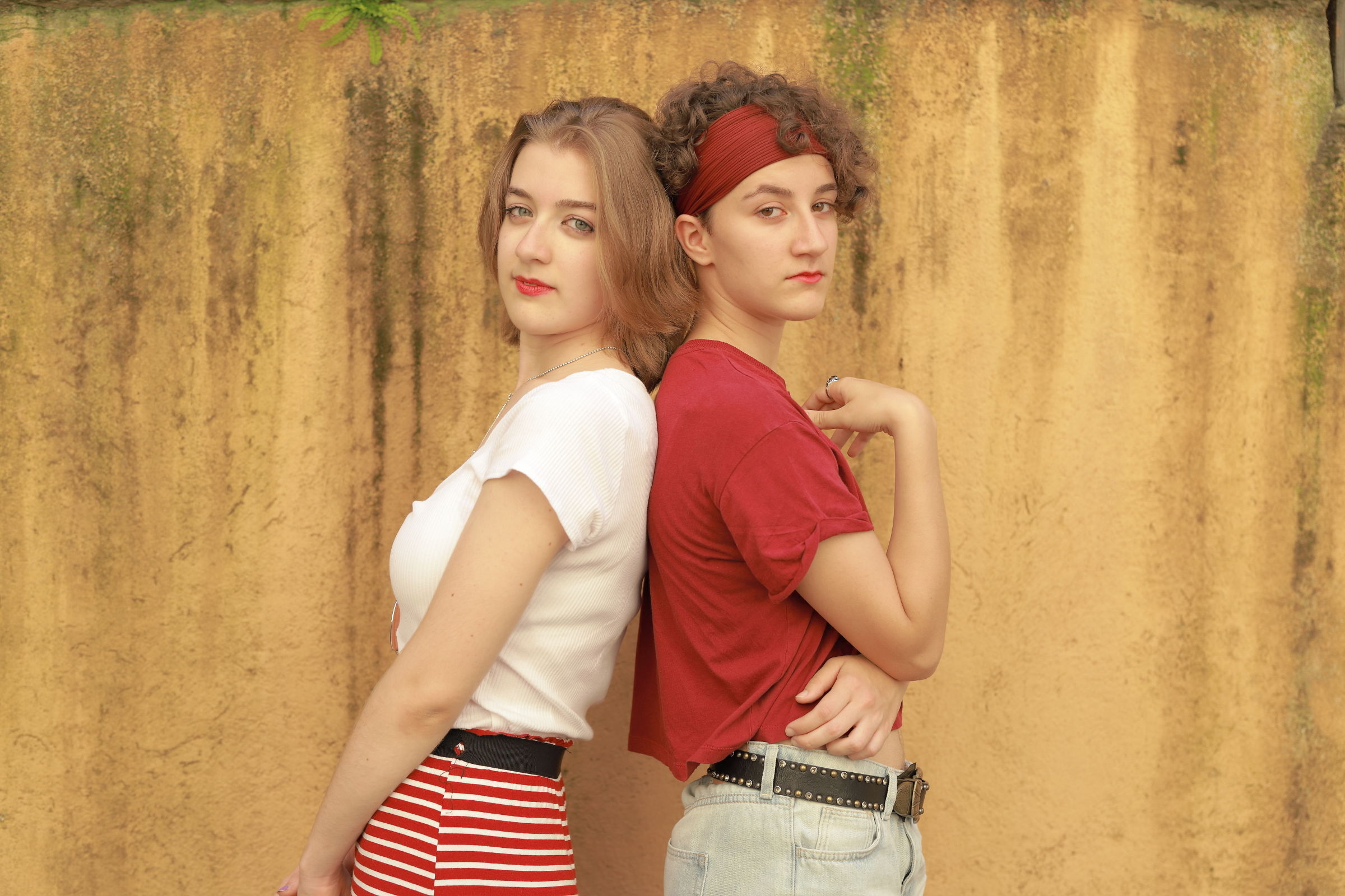 Le mie gemelle diverse