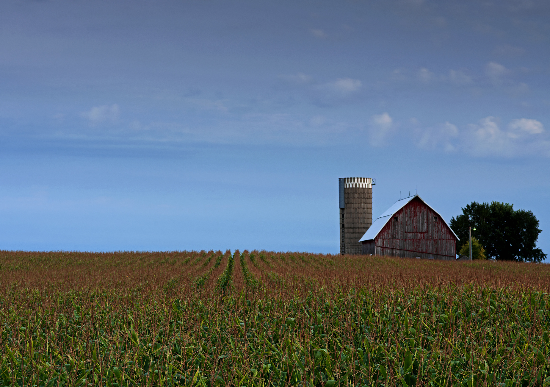 Minnesota Farm Scene at Twilight