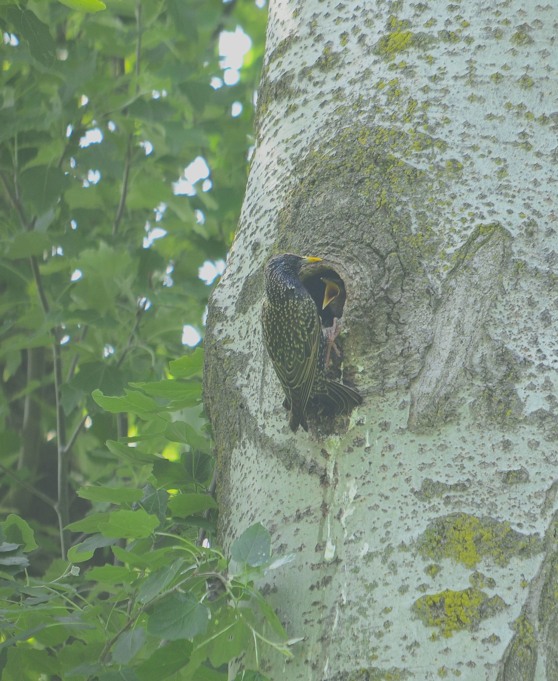 Hunger can not 'wait.