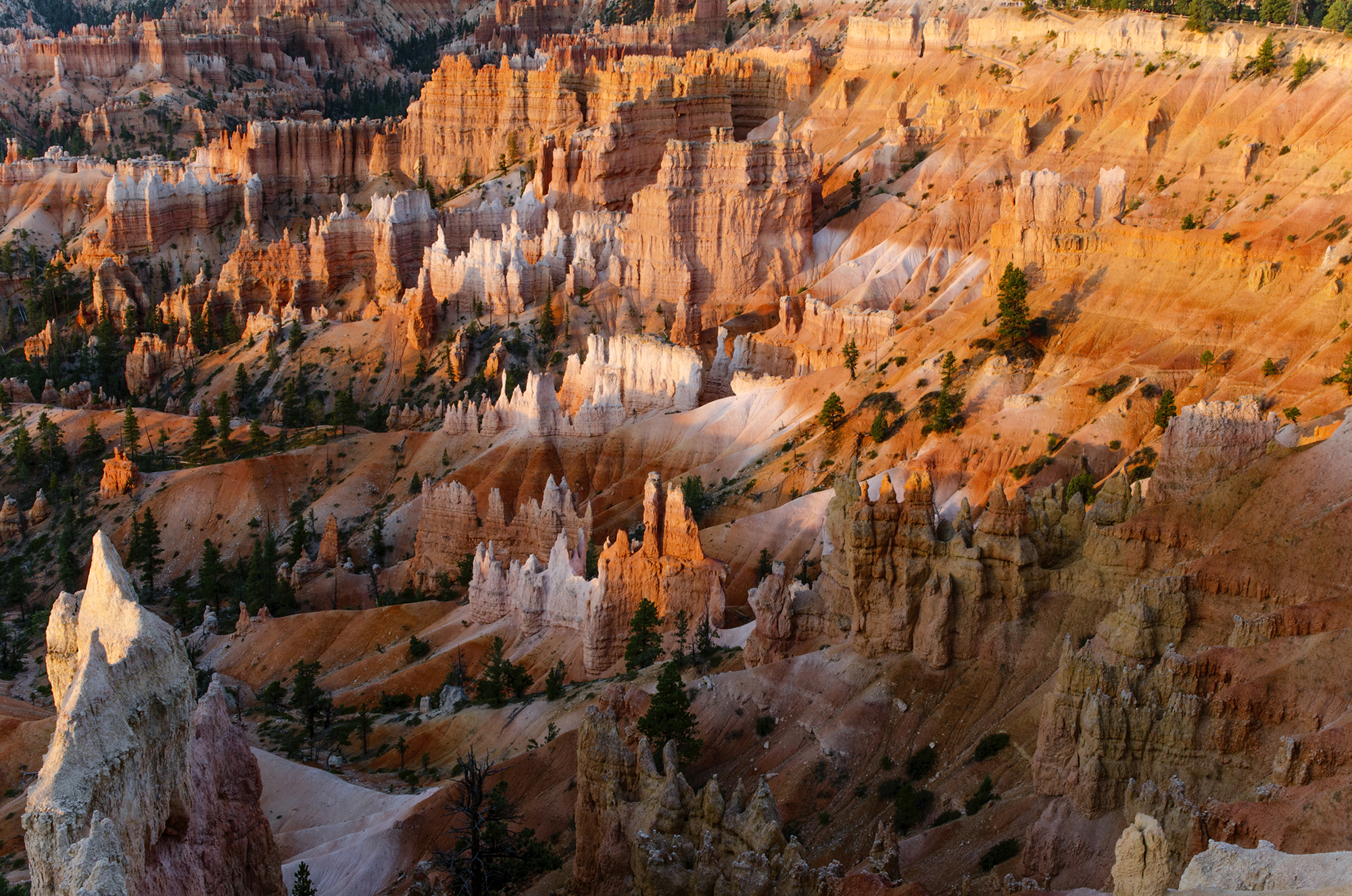 Alba al Bryce Canyon
