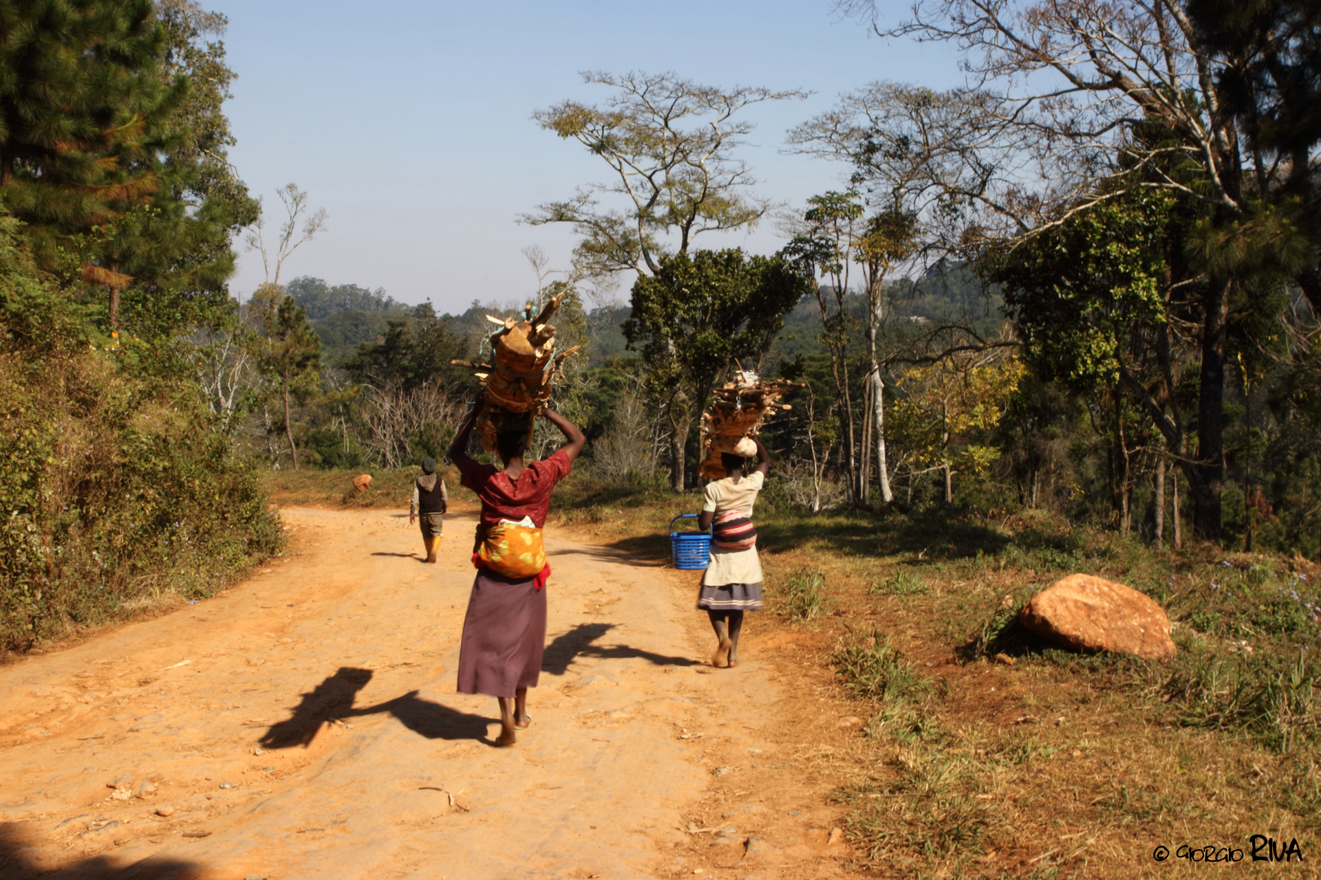 Donne africane trasportano legna in Malawi