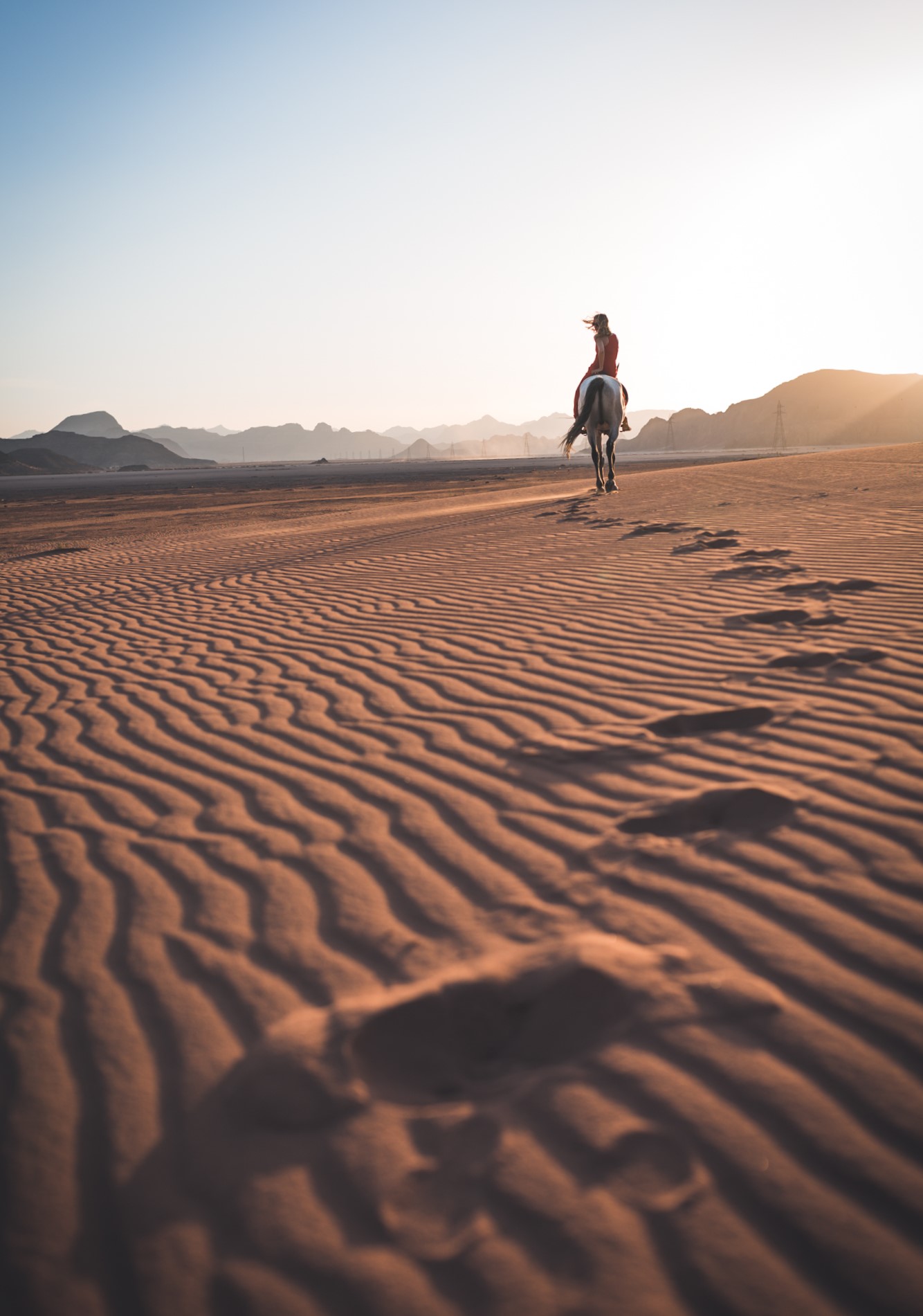 The footsteps of the desert
