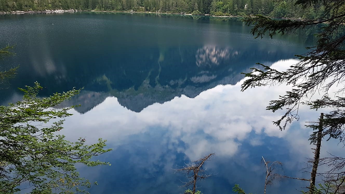 Reflections on the Lake