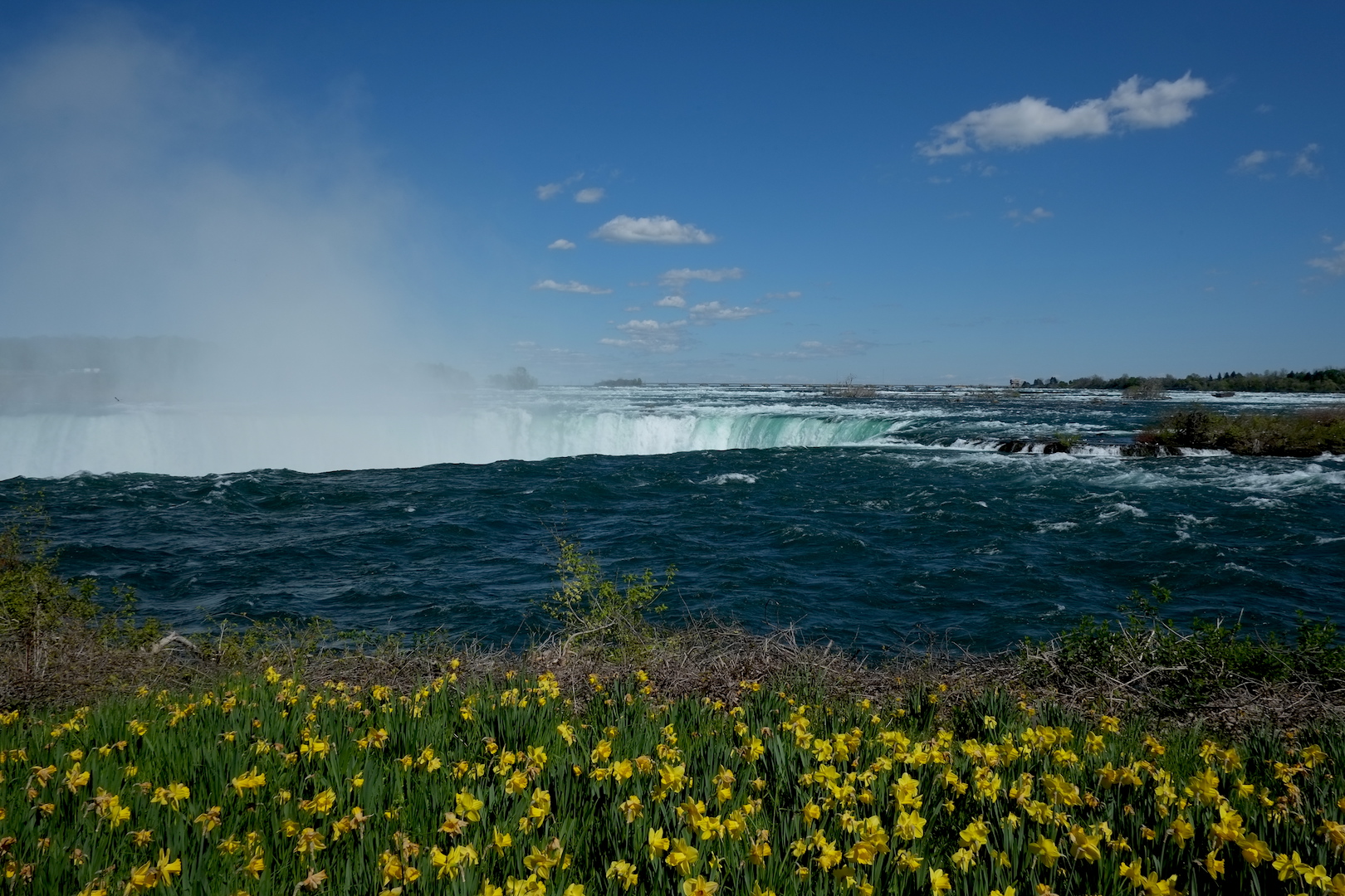 Niagara