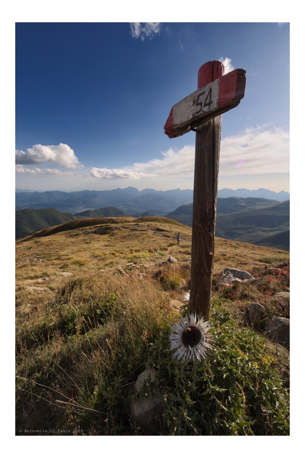Lungo il 54