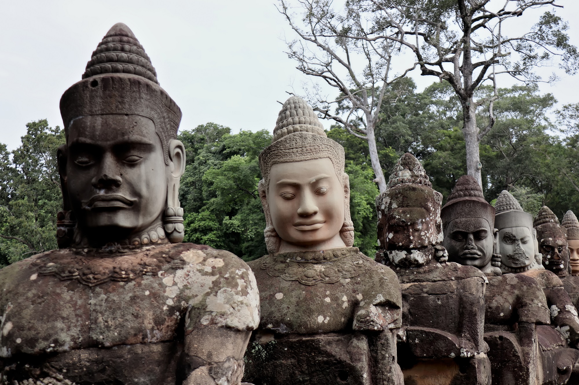 Cambogia