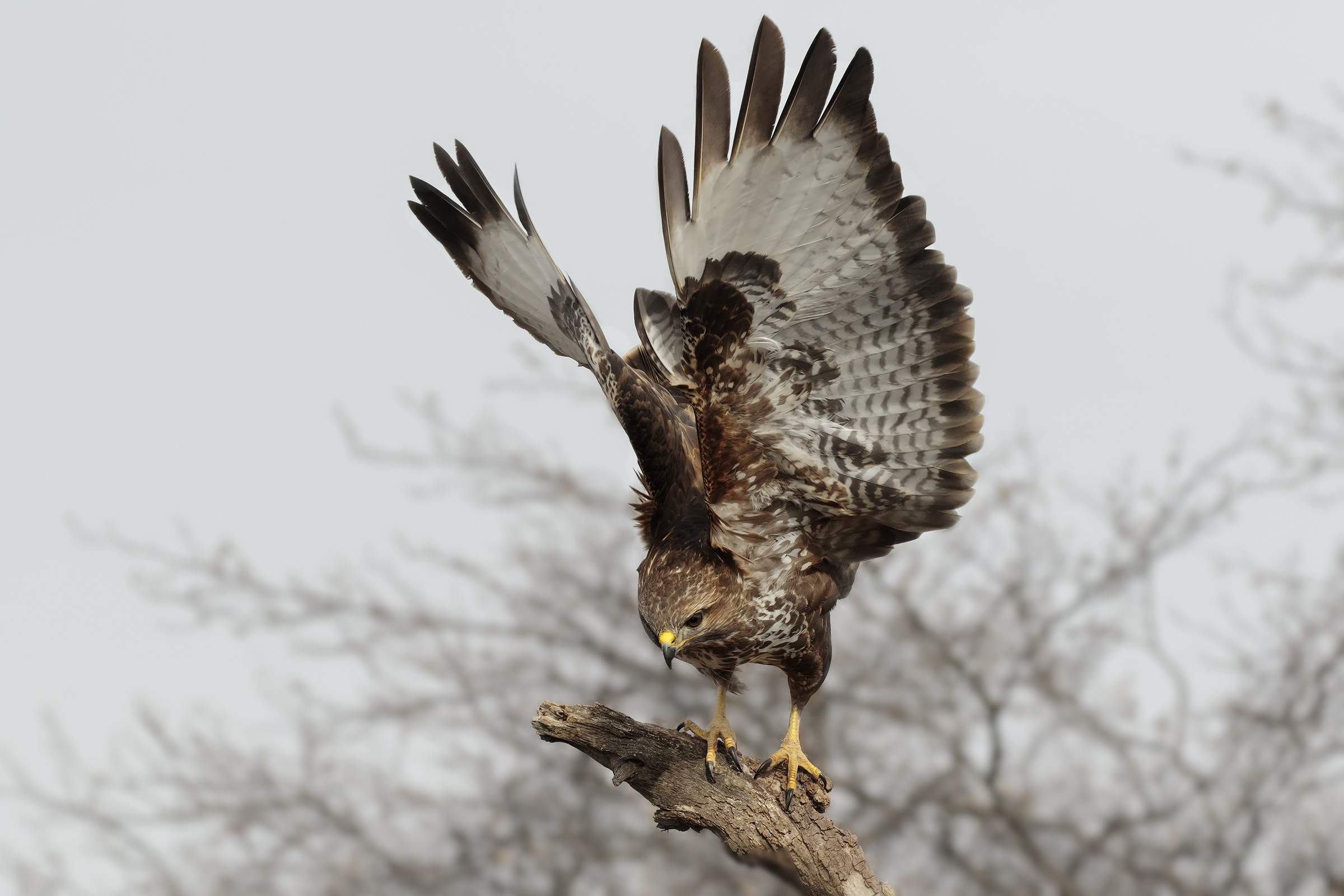 Sometimes friendships serve