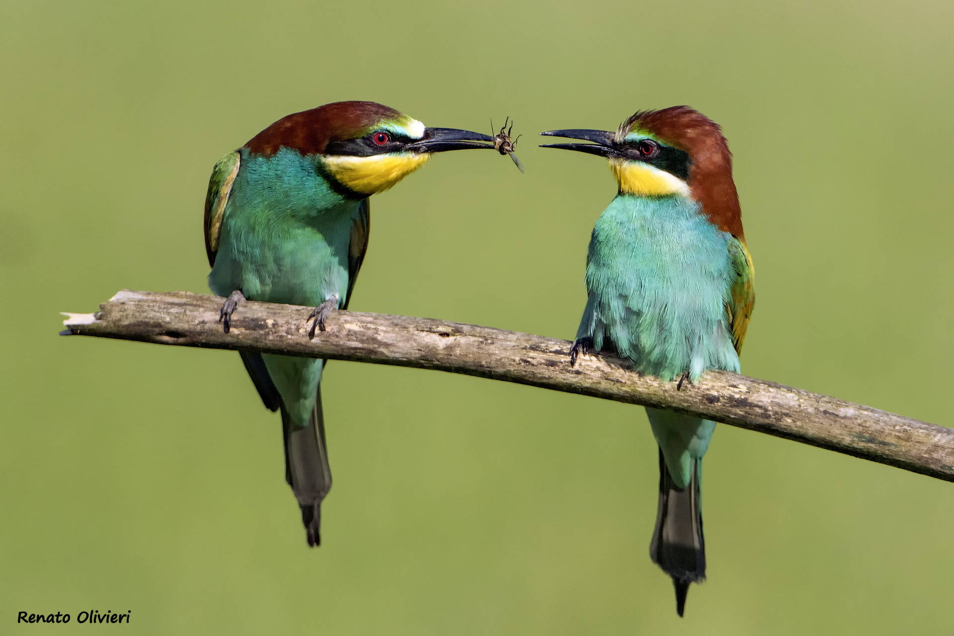 I give something to you and you give something to me