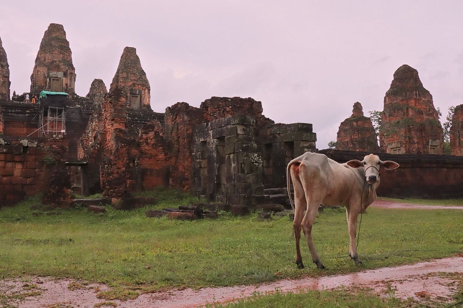 Pre Rup  Cambogia 2018