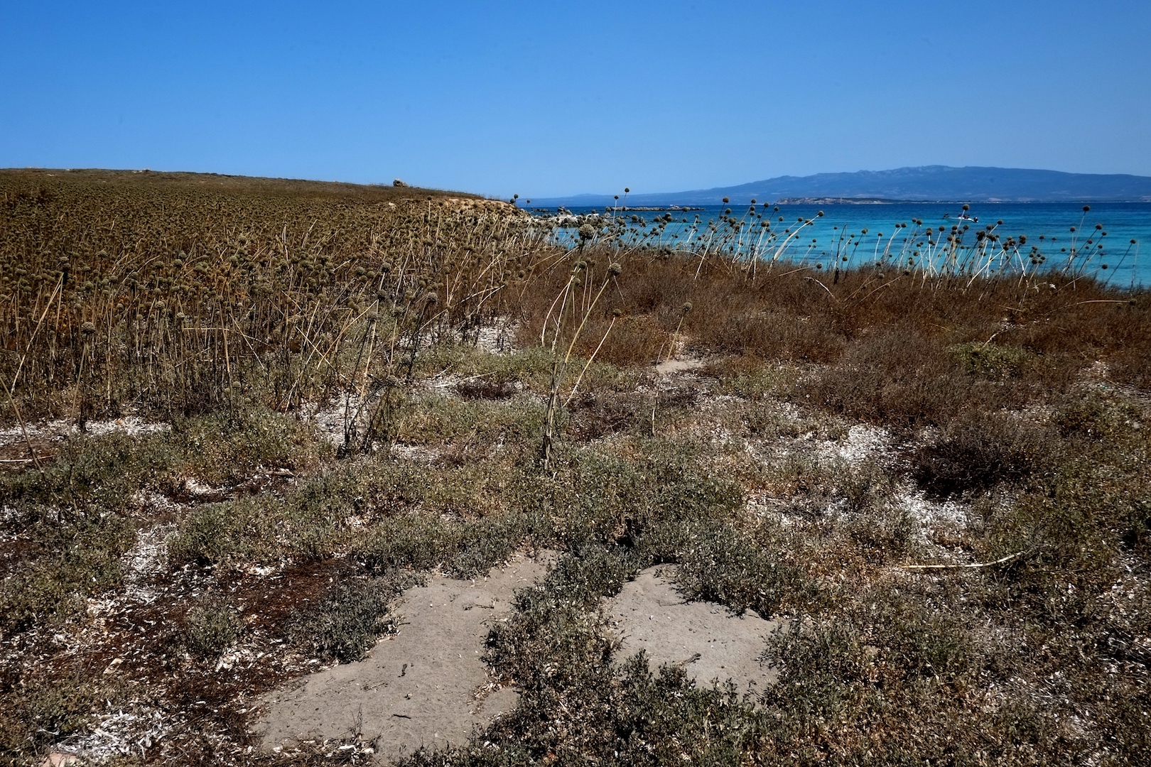 Isola di Maldiventre - Oristano