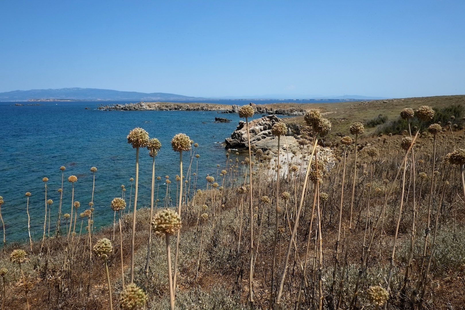 Isola di Maldiventre - Oristano